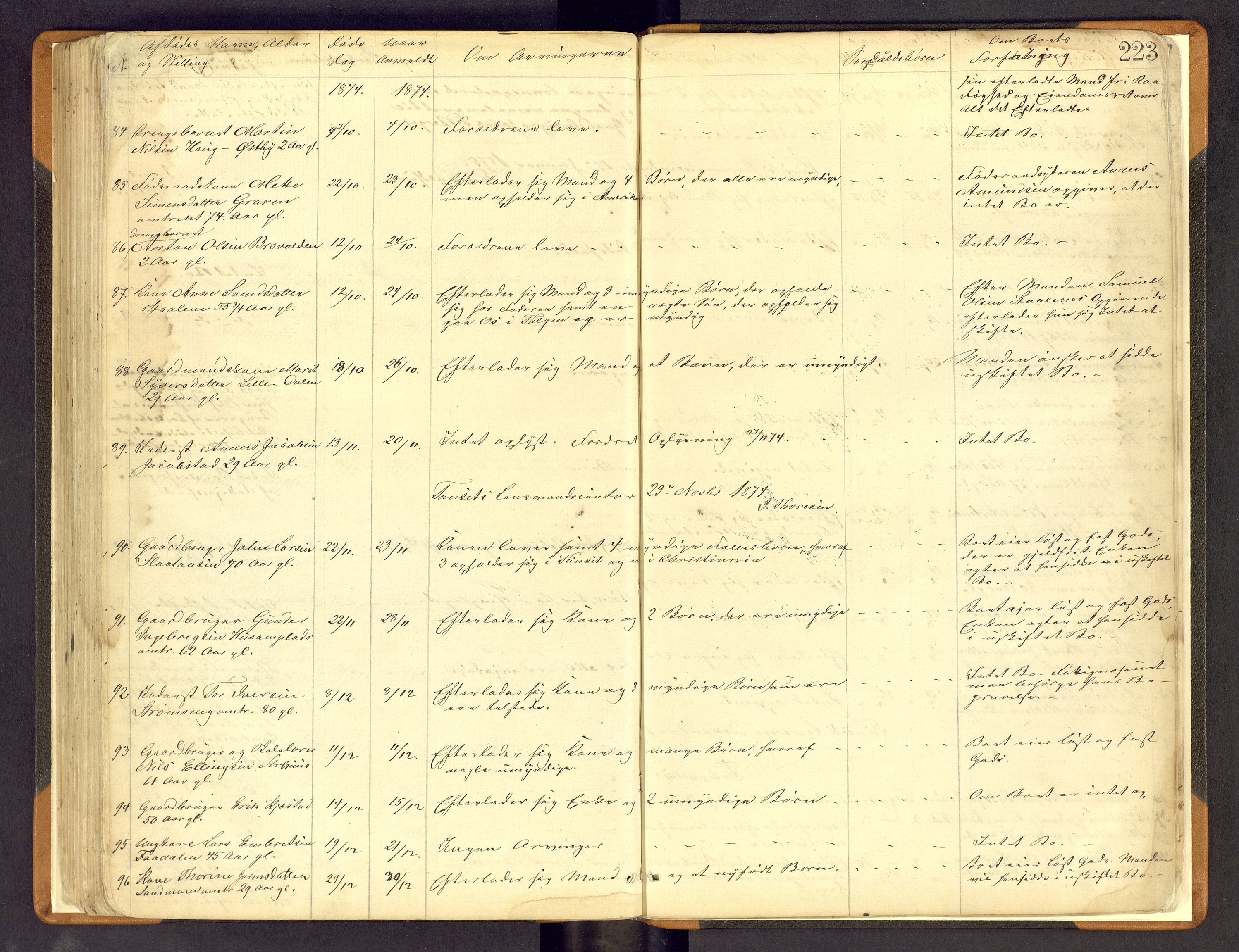 Nord-Østerdal tingrett, SAH/TING-020/H/Hi/L0002/0002: Forskjellig vedrørende tinglysing / Korrigering av grunnboka hvor hjemmelshaver mangler, er død m.v., 1863-1875, s. 223