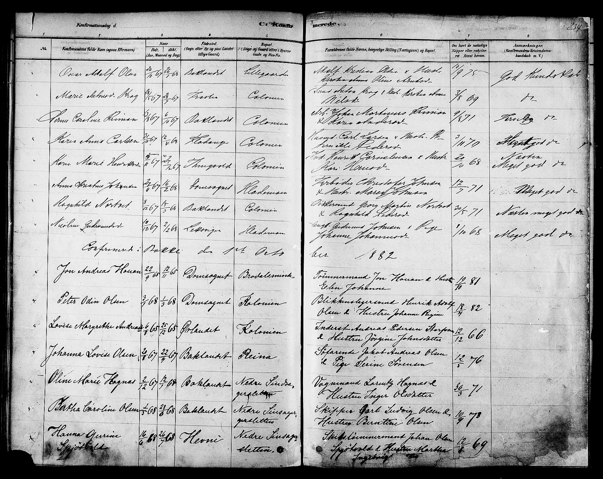 Ministerialprotokoller, klokkerbøker og fødselsregistre - Sør-Trøndelag, SAT/A-1456/606/L0294: Ministerialbok nr. 606A09, 1878-1886, s. 234