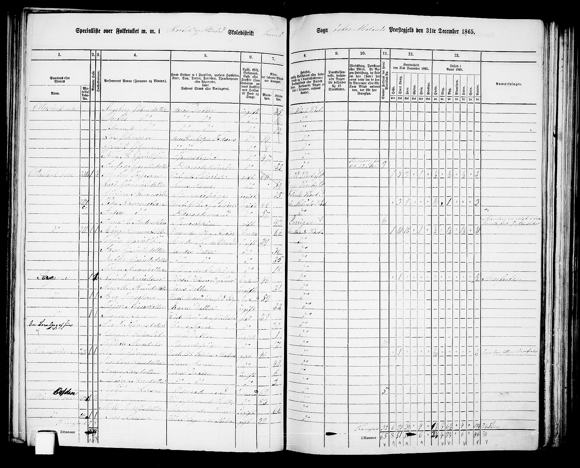 RA, Folketelling 1865 for 0918P Austre Moland prestegjeld, 1865, s. 146