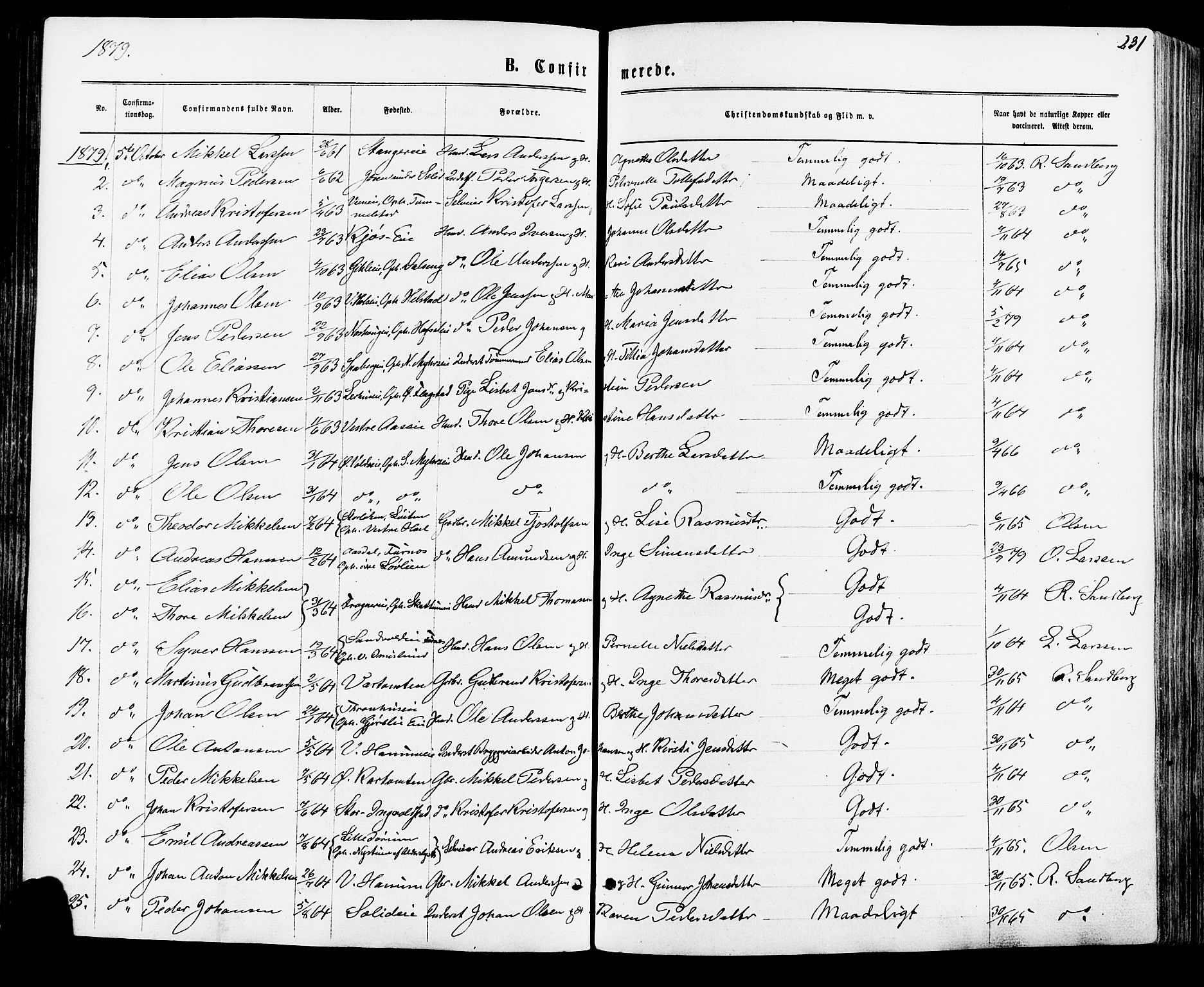 Vang prestekontor, Hedmark, AV/SAH-PREST-008/H/Ha/Haa/L0015: Ministerialbok nr. 15, 1871-1885, s. 231