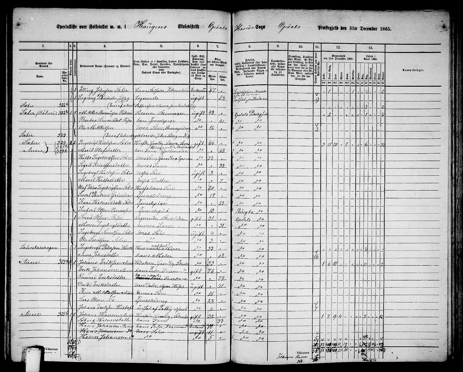 RA, Folketelling 1865 for 1634P Oppdal prestegjeld, 1865, s. 160