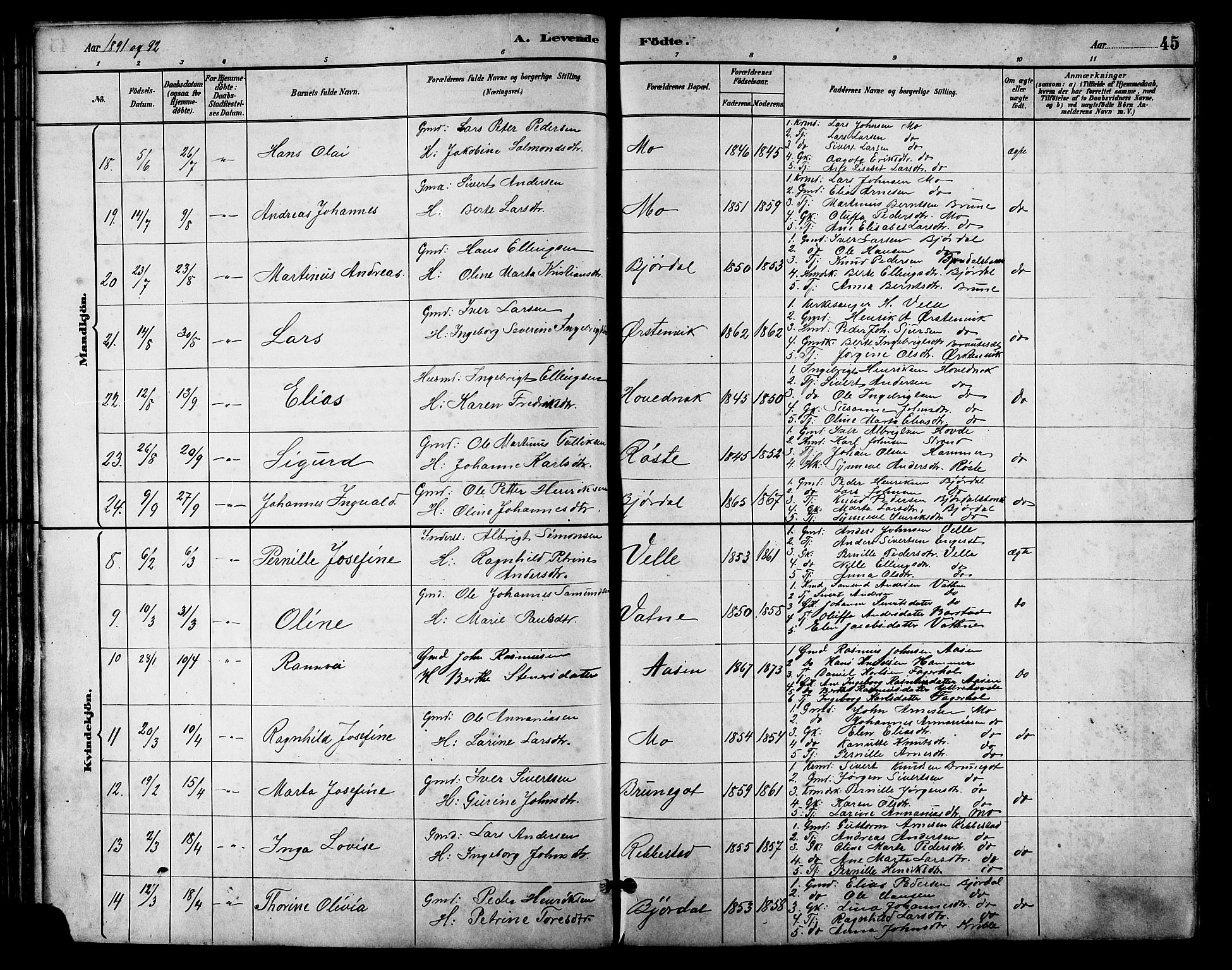 Ministerialprotokoller, klokkerbøker og fødselsregistre - Møre og Romsdal, AV/SAT-A-1454/513/L0189: Klokkerbok nr. 513C03, 1883-1904, s. 45