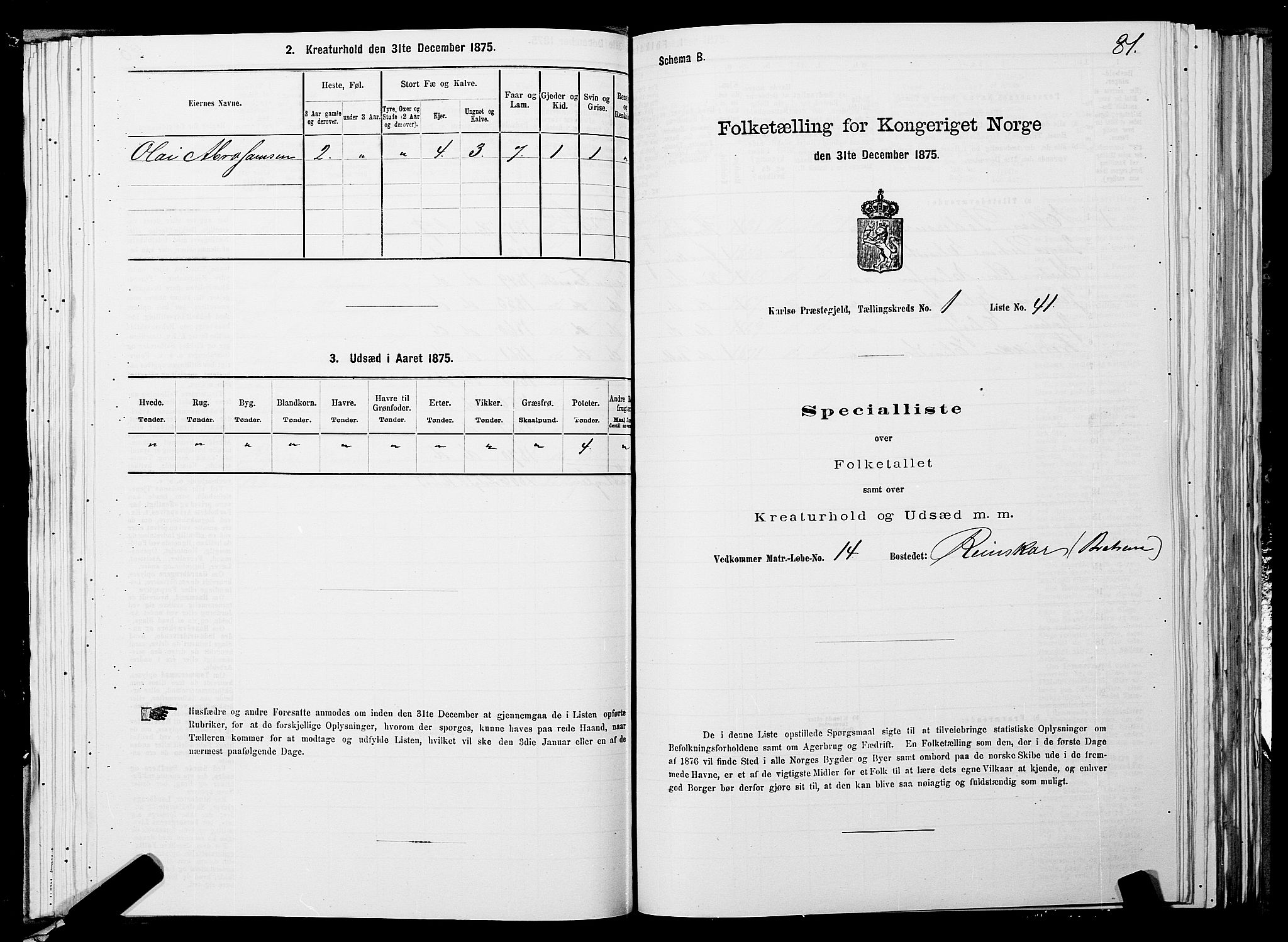 SATØ, Folketelling 1875 for 1936P Karlsøy prestegjeld, 1875, s. 1081