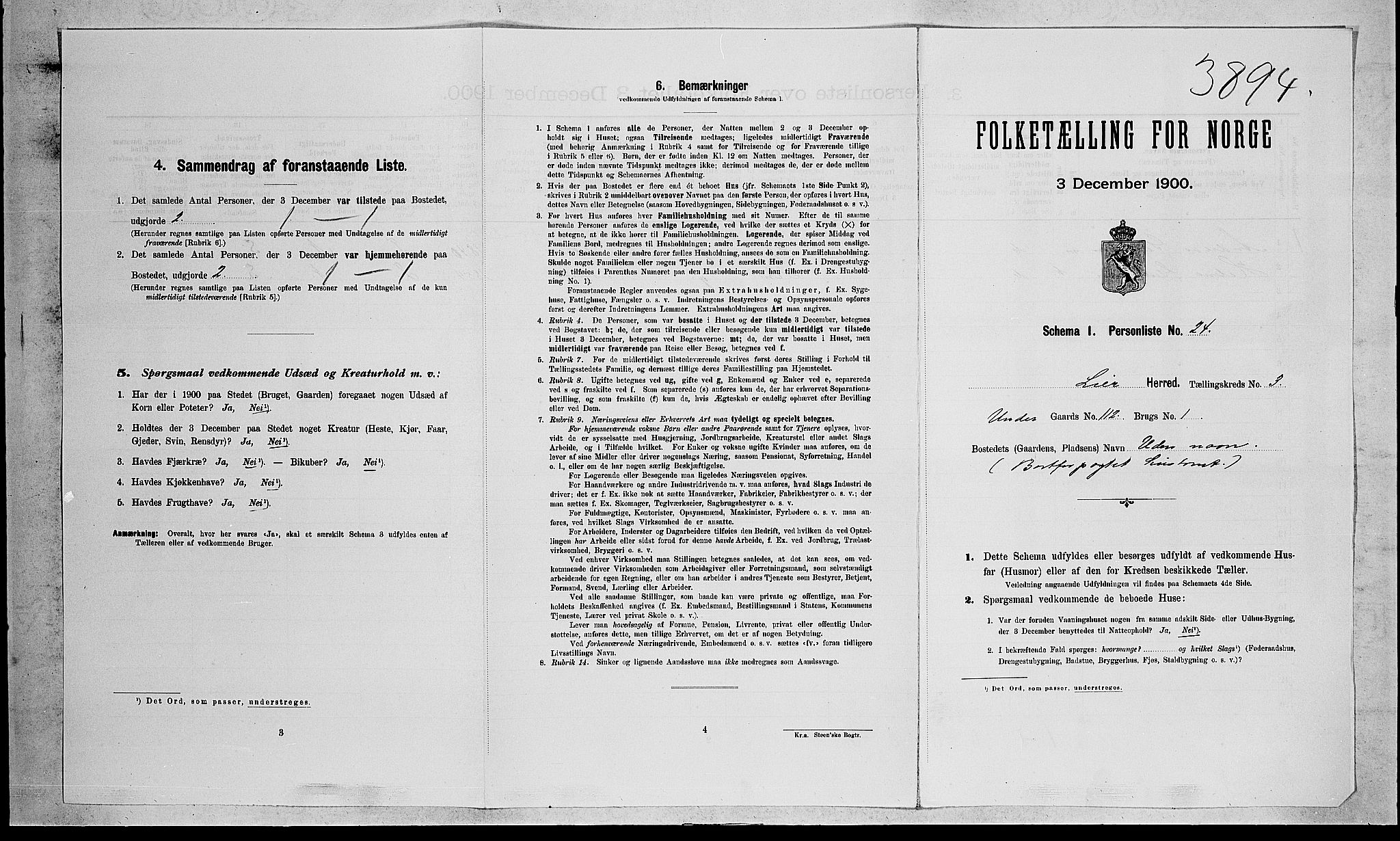 RA, Folketelling 1900 for 0626 Lier herred, 1900, s. 594