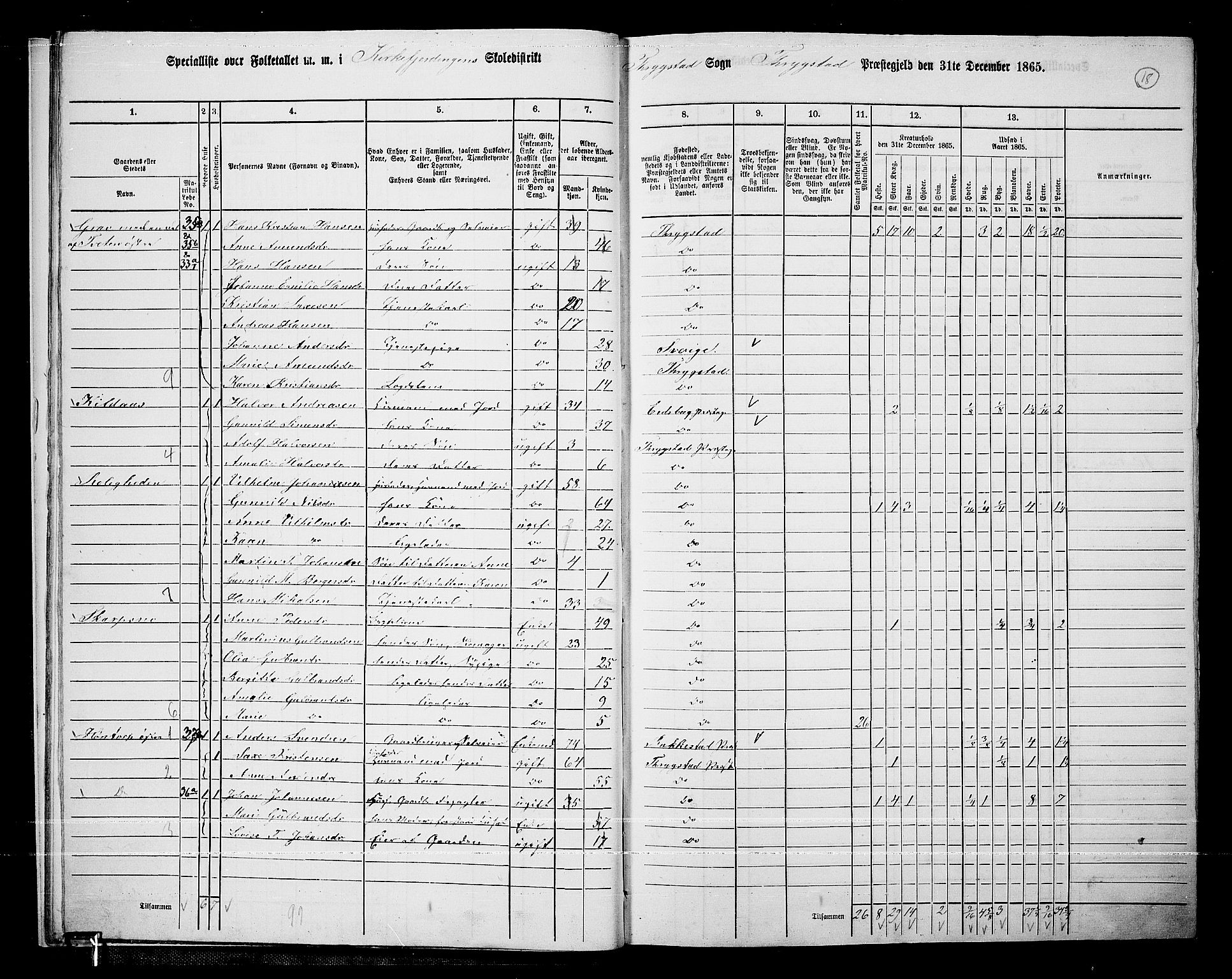 RA, Folketelling 1865 for 0122P Trøgstad prestegjeld, 1865, s. 17