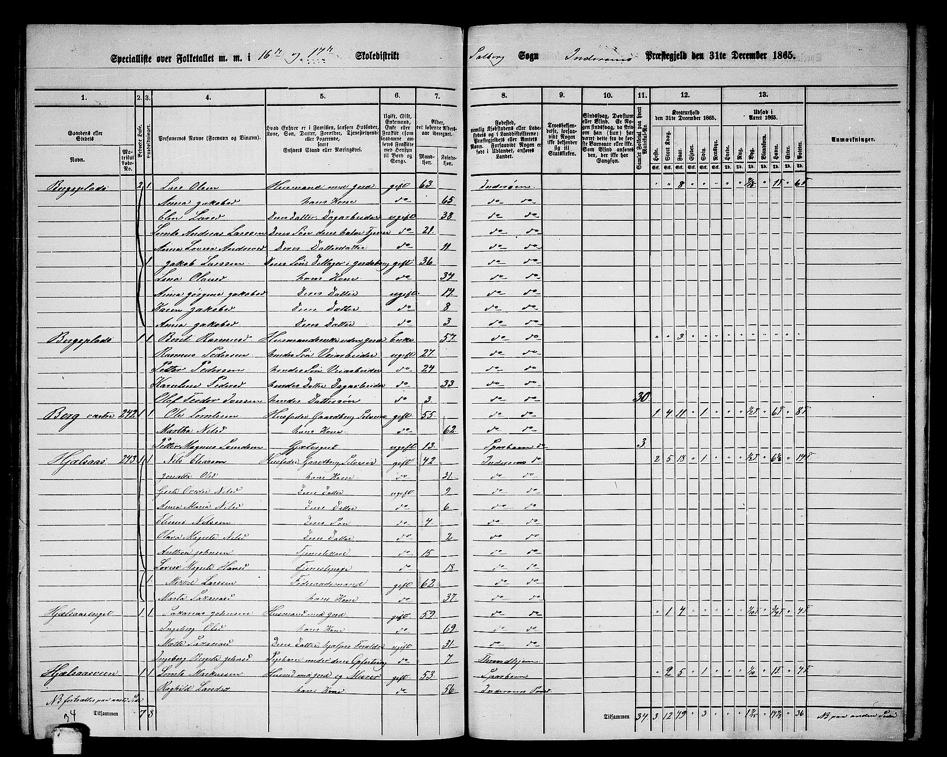 RA, Folketelling 1865 for 1729P Inderøy prestegjeld, 1865, s. 213