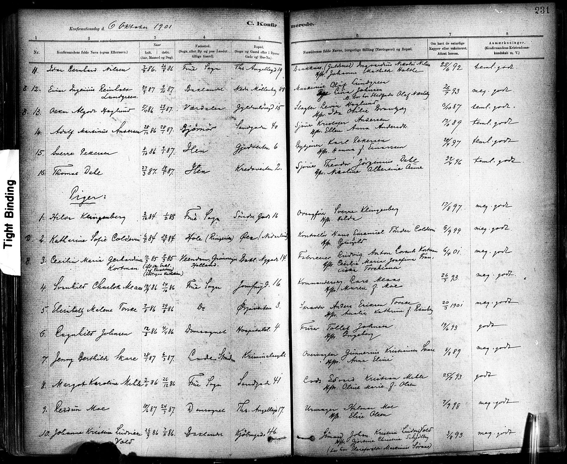 Ministerialprotokoller, klokkerbøker og fødselsregistre - Sør-Trøndelag, AV/SAT-A-1456/602/L0119: Ministerialbok nr. 602A17, 1880-1901, s. 231