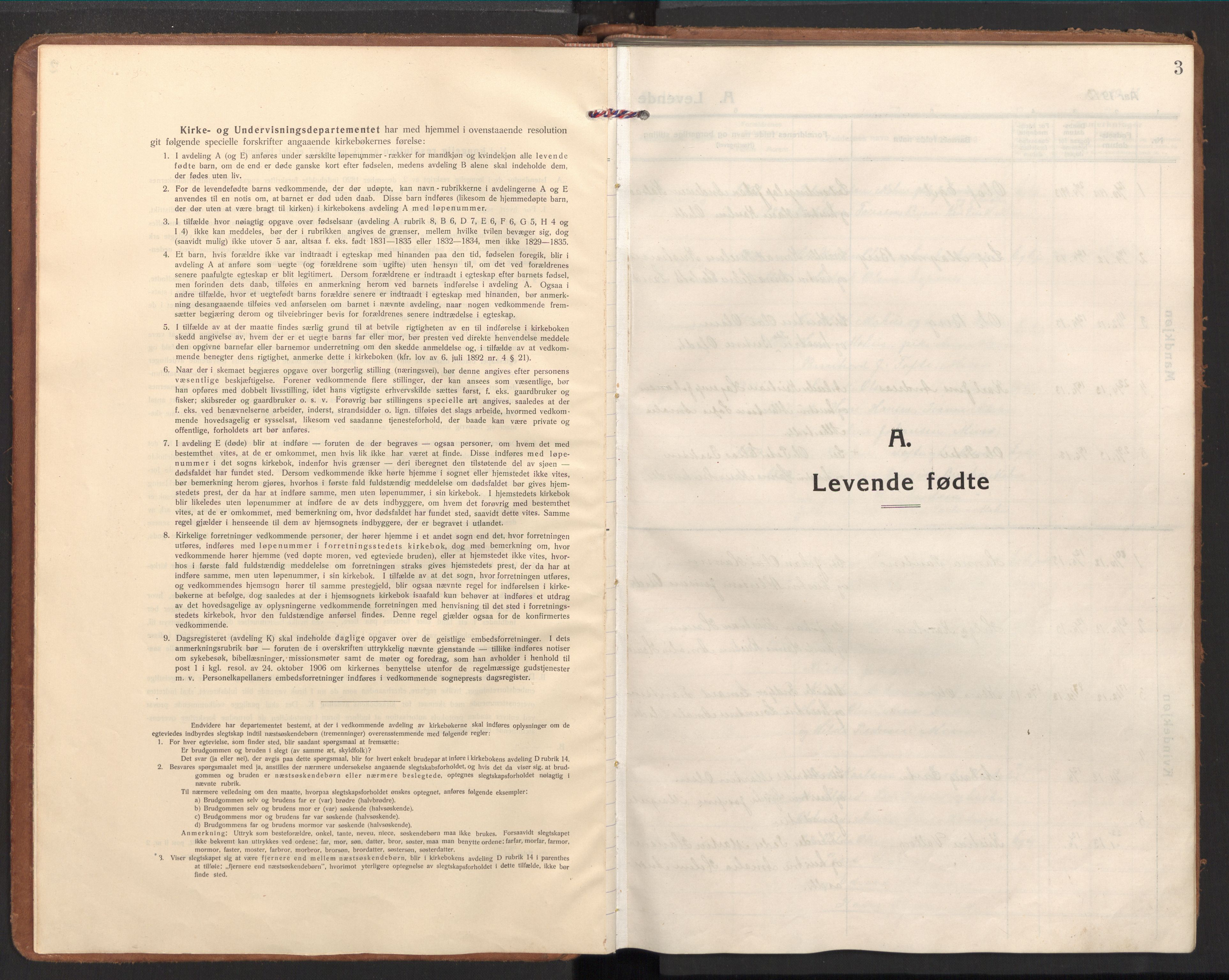 Ministerialprotokoller, klokkerbøker og fødselsregistre - Nordland, SAT/A-1459/848/L0688: Ministerialbok nr. 848A01, 1913-1935, s. 3