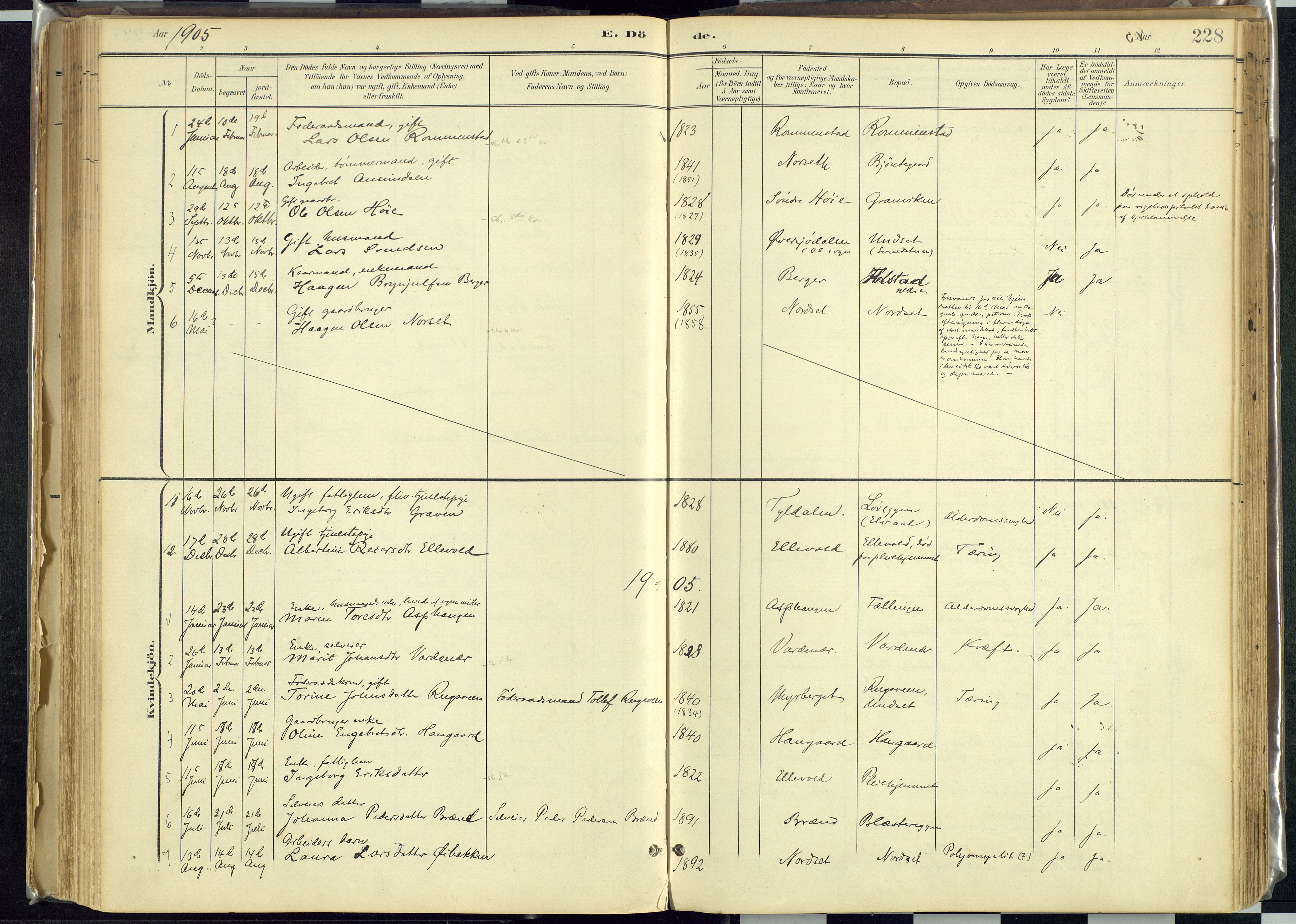 Rendalen prestekontor, AV/SAH-PREST-054/H/Ha/Haa/L0012: Ministerialbok nr. 12, 1901-1928, s. 228