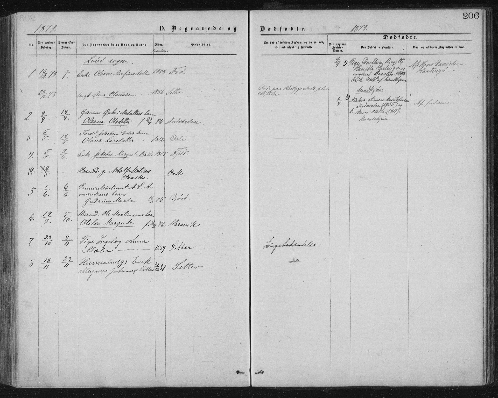 Ministerialprotokoller, klokkerbøker og fødselsregistre - Nord-Trøndelag, SAT/A-1458/771/L0596: Ministerialbok nr. 771A03, 1870-1884, s. 206
