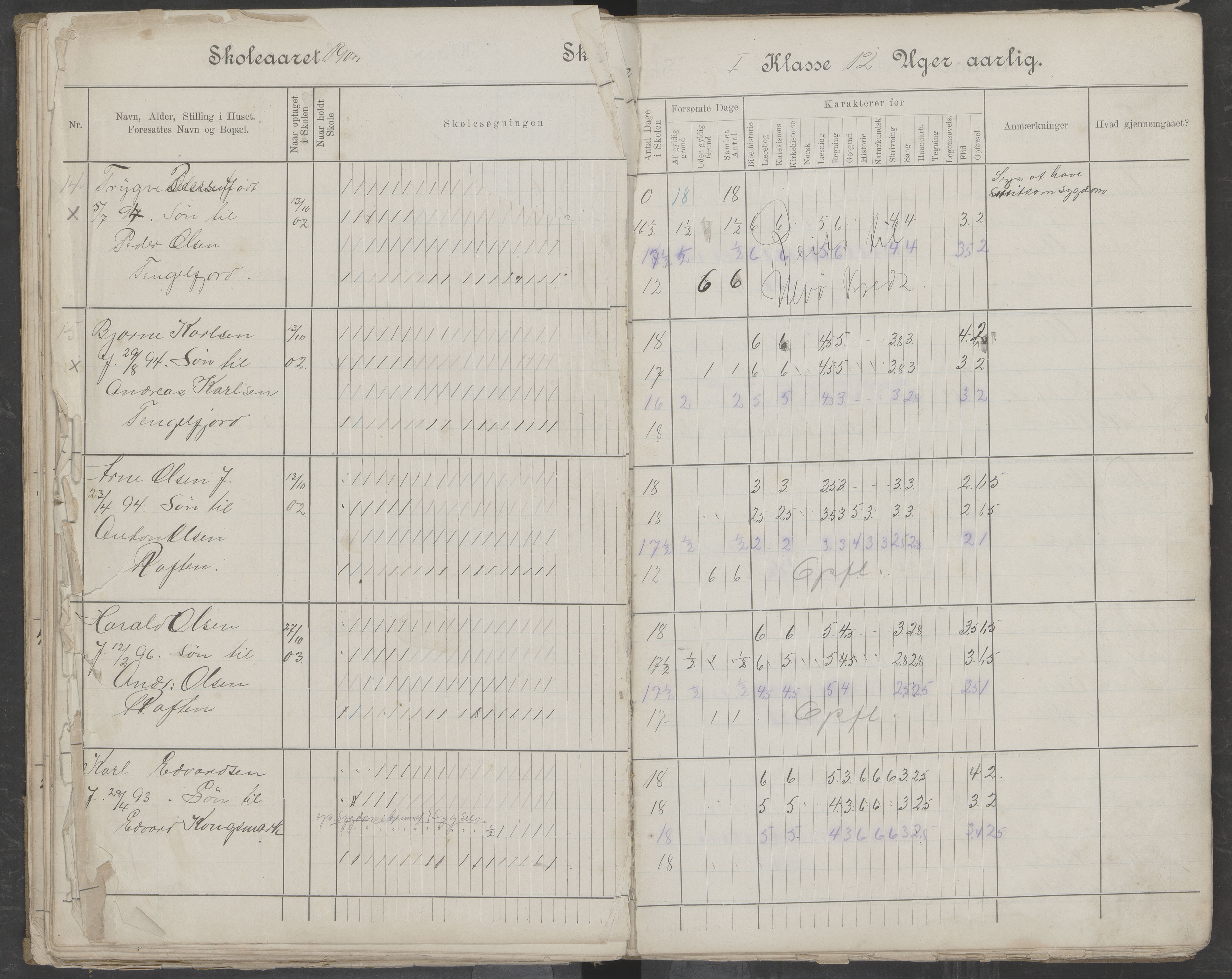 Hadsel kommune. Tengelfjord skolekrets, AIN/K-18660.510.04/G/L0001: Skoleprotokoll for Tengelfjord skole, 1899-1908