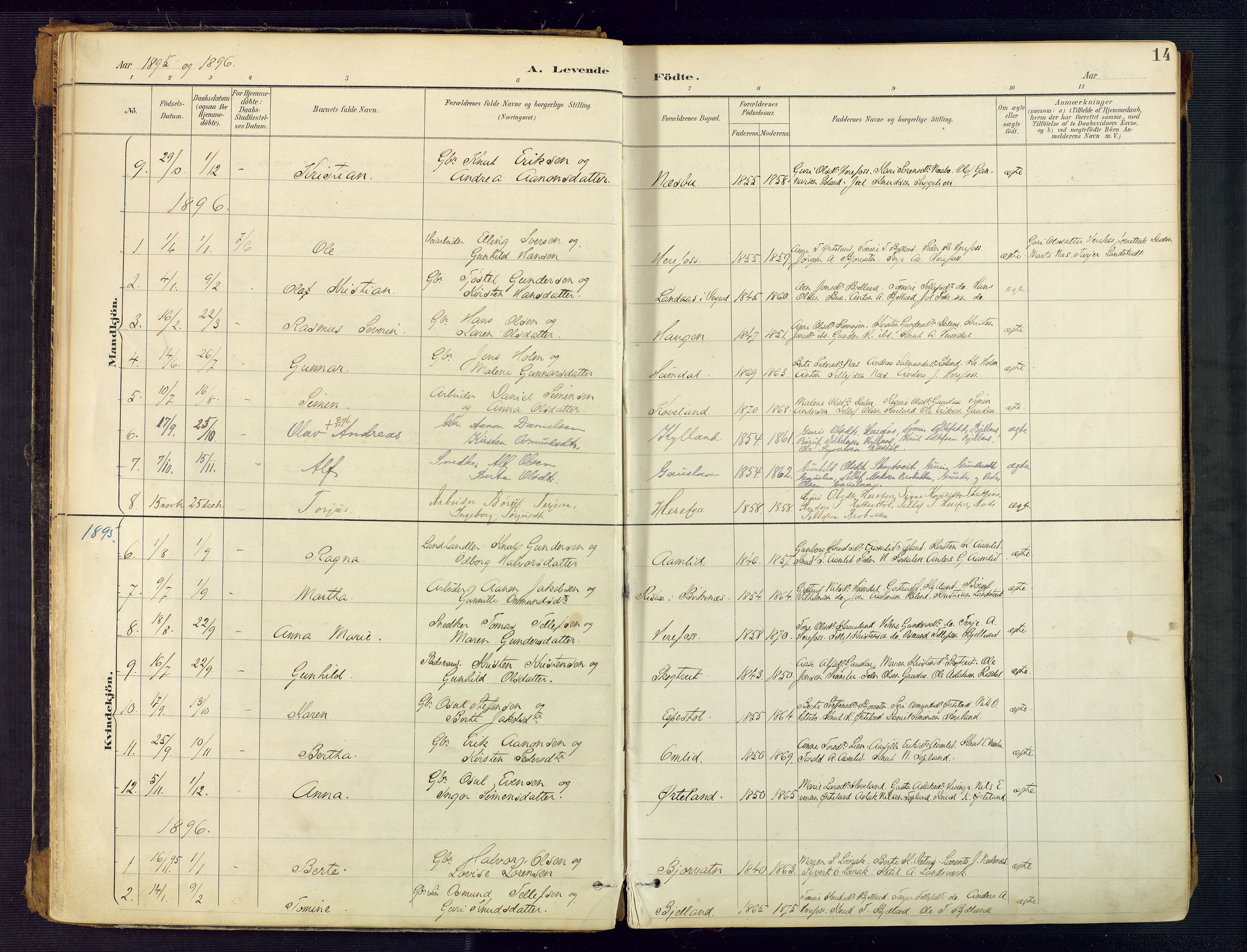 Herefoss sokneprestkontor, AV/SAK-1111-0019/F/Fa/Faa/L0003: Ministerialbok nr. A 3, 1887-1930, s. 14