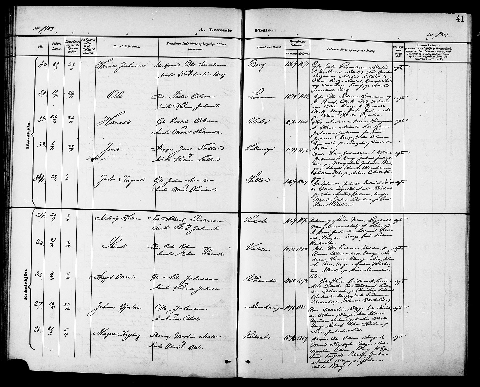 Ministerialprotokoller, klokkerbøker og fødselsregistre - Sør-Trøndelag, AV/SAT-A-1456/630/L0505: Klokkerbok nr. 630C03, 1899-1914, s. 41