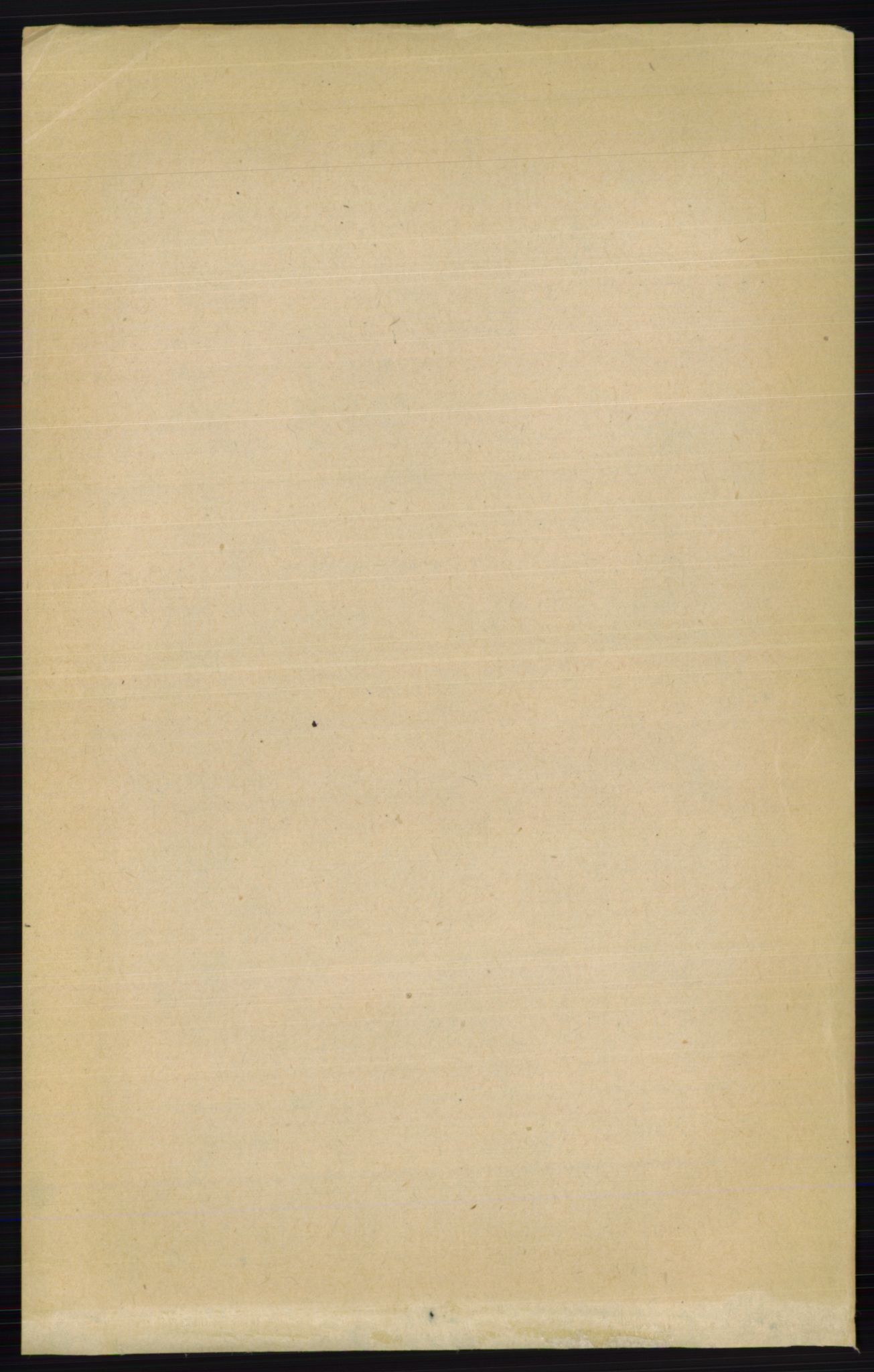 RA, Folketelling 1891 for 0412 Ringsaker herred, 1891, s. 171