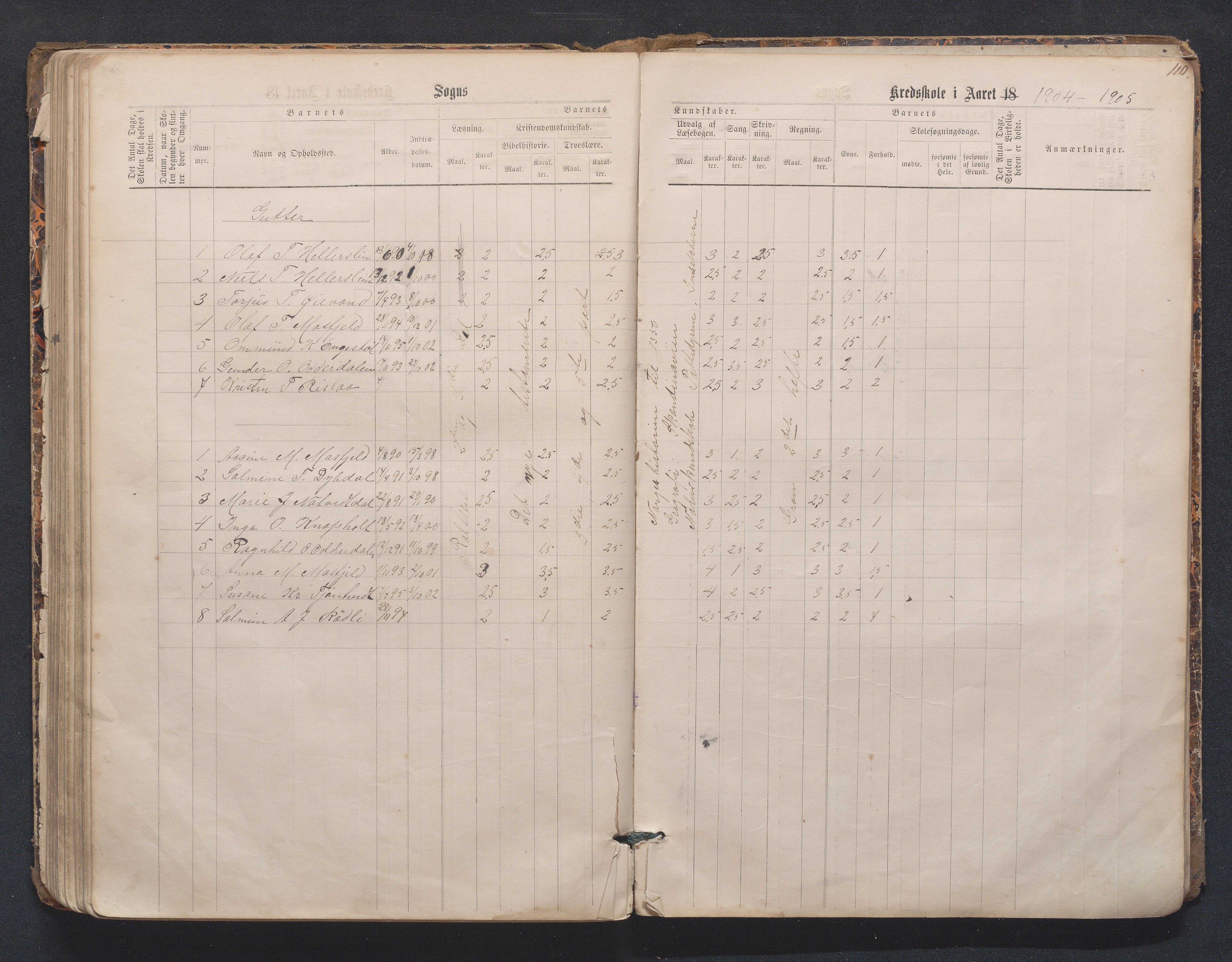 Birkenes kommune, Mosfjell skolekrets, AAKS/KA0928-550f_91/F02/L0001: Skoleprotokoll Flå og Mosfjell, 1867-1909, s. 110