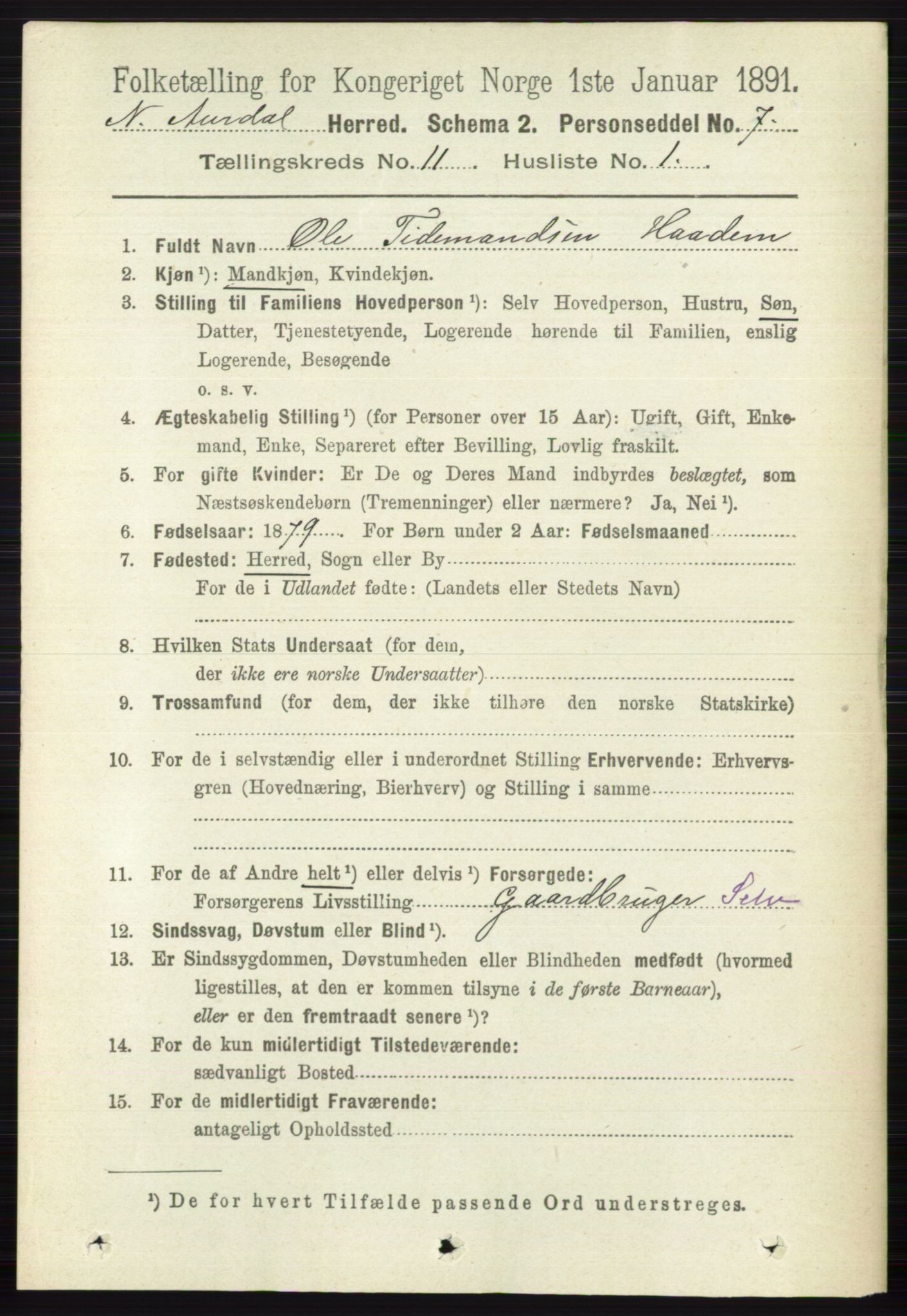 RA, Folketelling 1891 for 0542 Nord-Aurdal herred, 1891, s. 4121