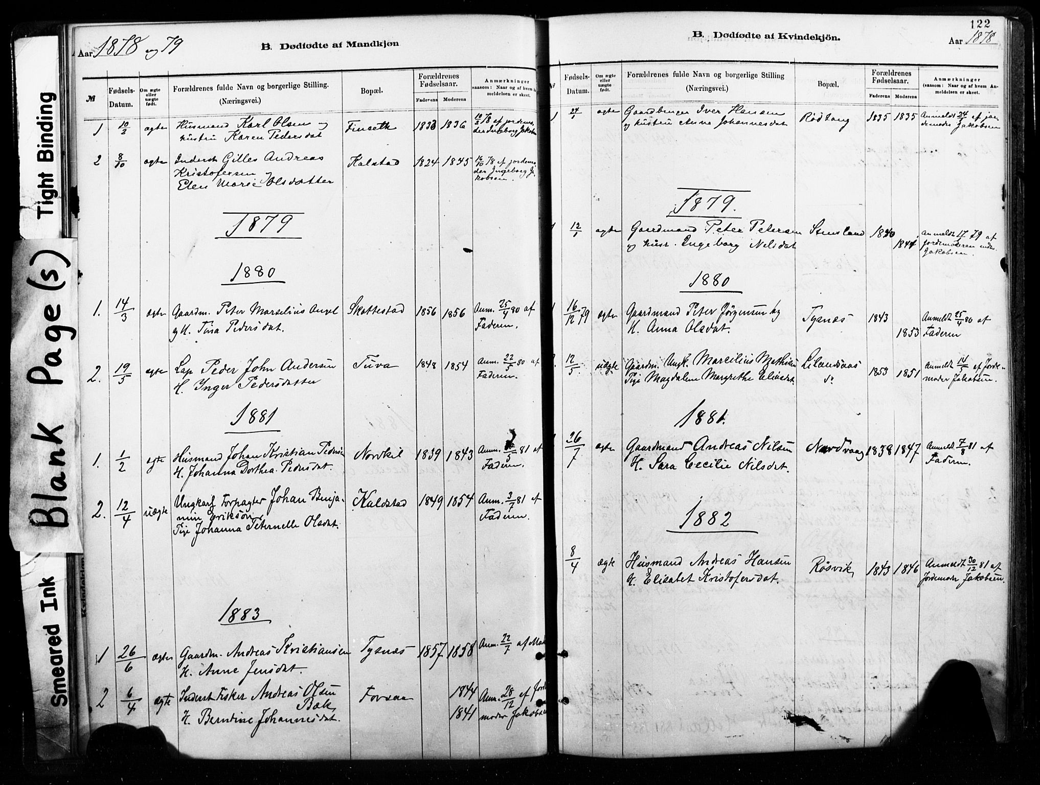 Ministerialprotokoller, klokkerbøker og fødselsregistre - Nordland, SAT/A-1459/859/L0846: Ministerialbok nr. 859A06, 1878-1889, s. 122