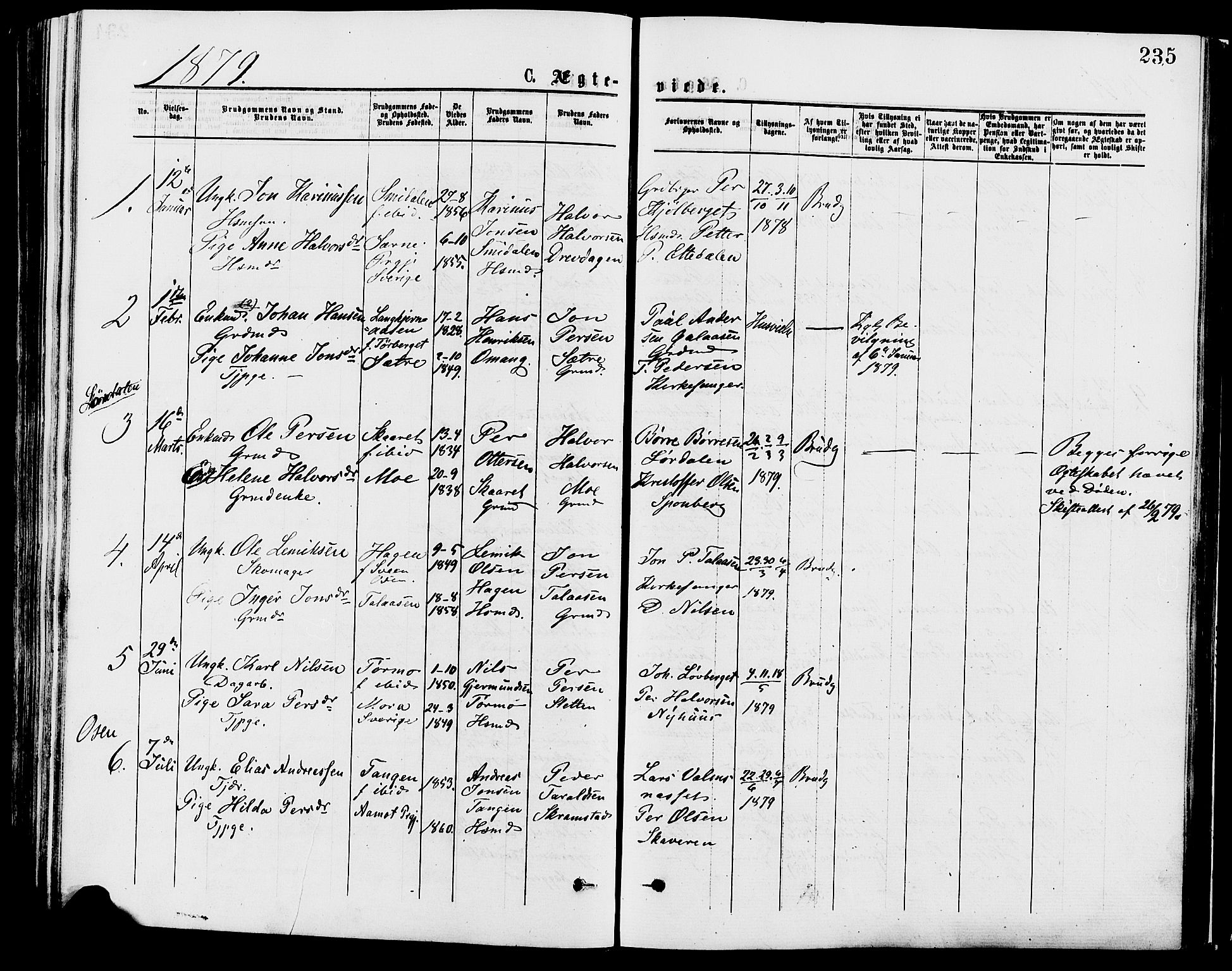 Trysil prestekontor, SAH/PREST-046/H/Ha/Haa/L0007: Ministerialbok nr. 7, 1874-1880, s. 235