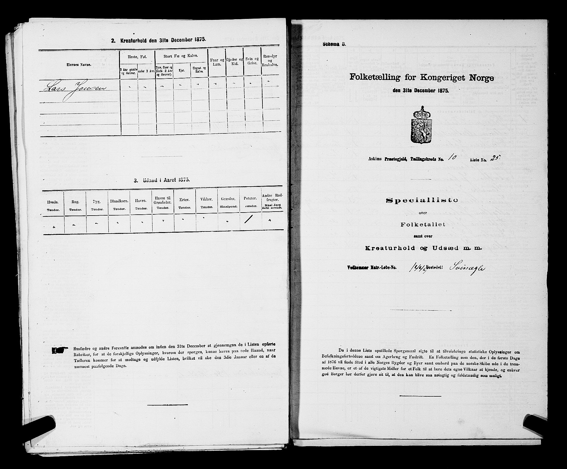 RA, Folketelling 1875 for 0124P Askim prestegjeld, 1875, s. 699