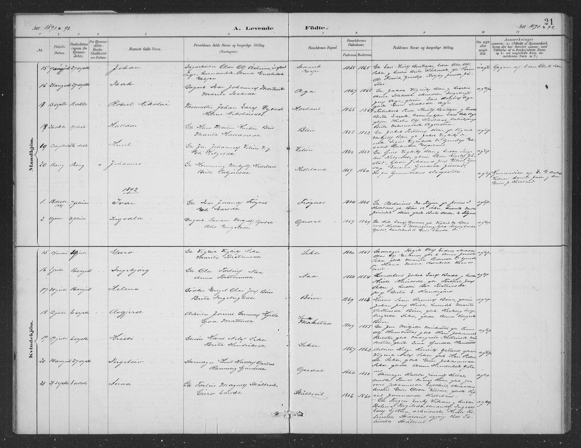 Ullensvang sokneprestembete, AV/SAB-A-78701/H/Hab: Klokkerbok nr. B 11, 1887-1939, s. 21