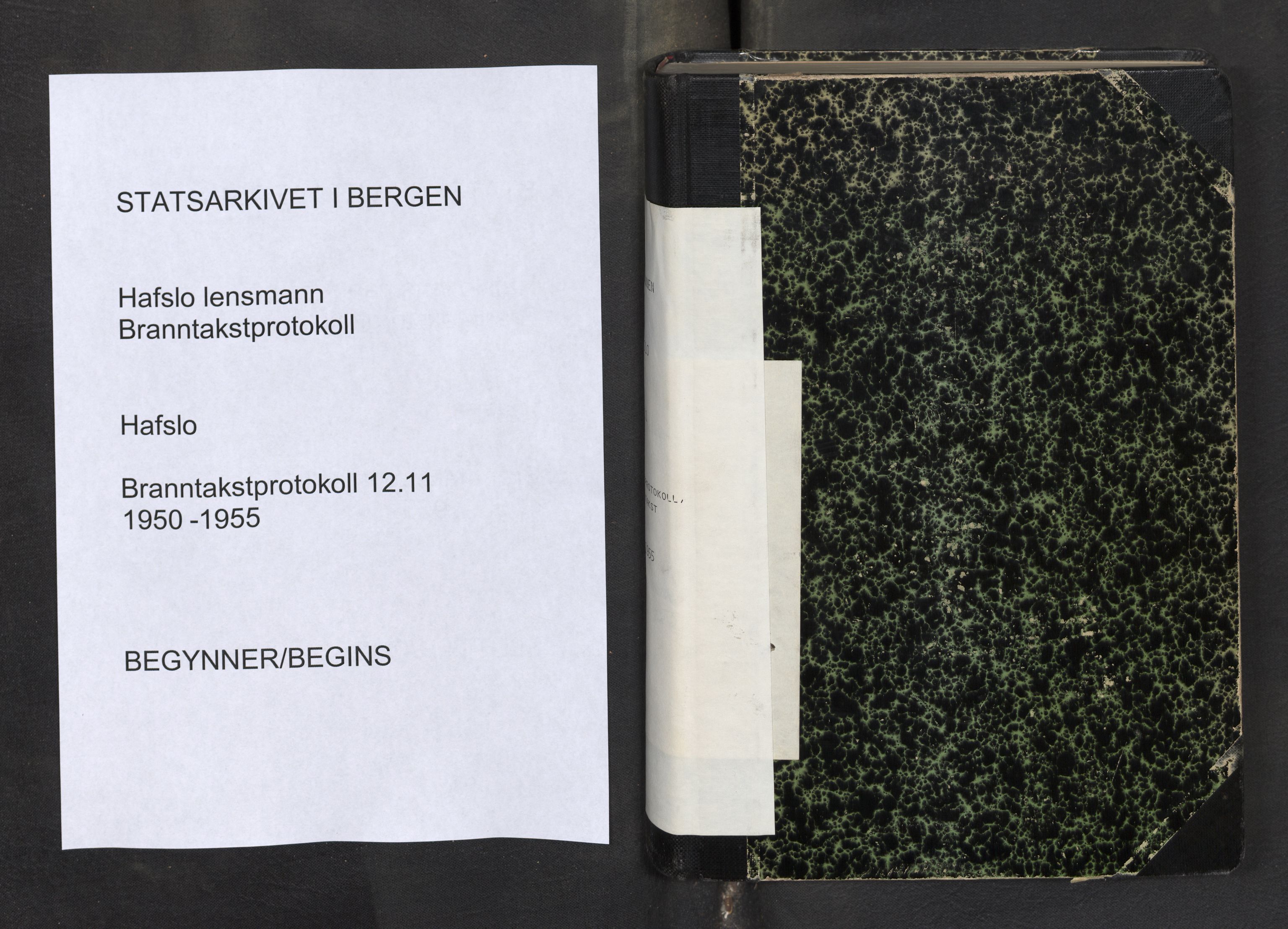 Lensmannen i Hafslo, SAB/A-28001/0012/L0011: Branntakstprotokoll, skjematakst, 1950-1955