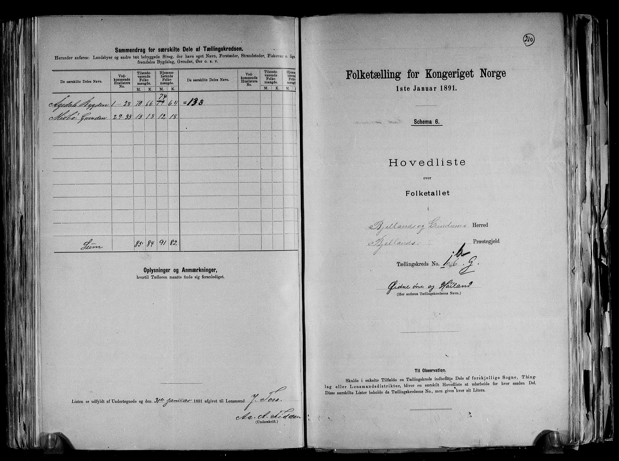 RA, Folketelling 1891 for 1024 Bjelland og Grindheim herred, 1891, s. 8