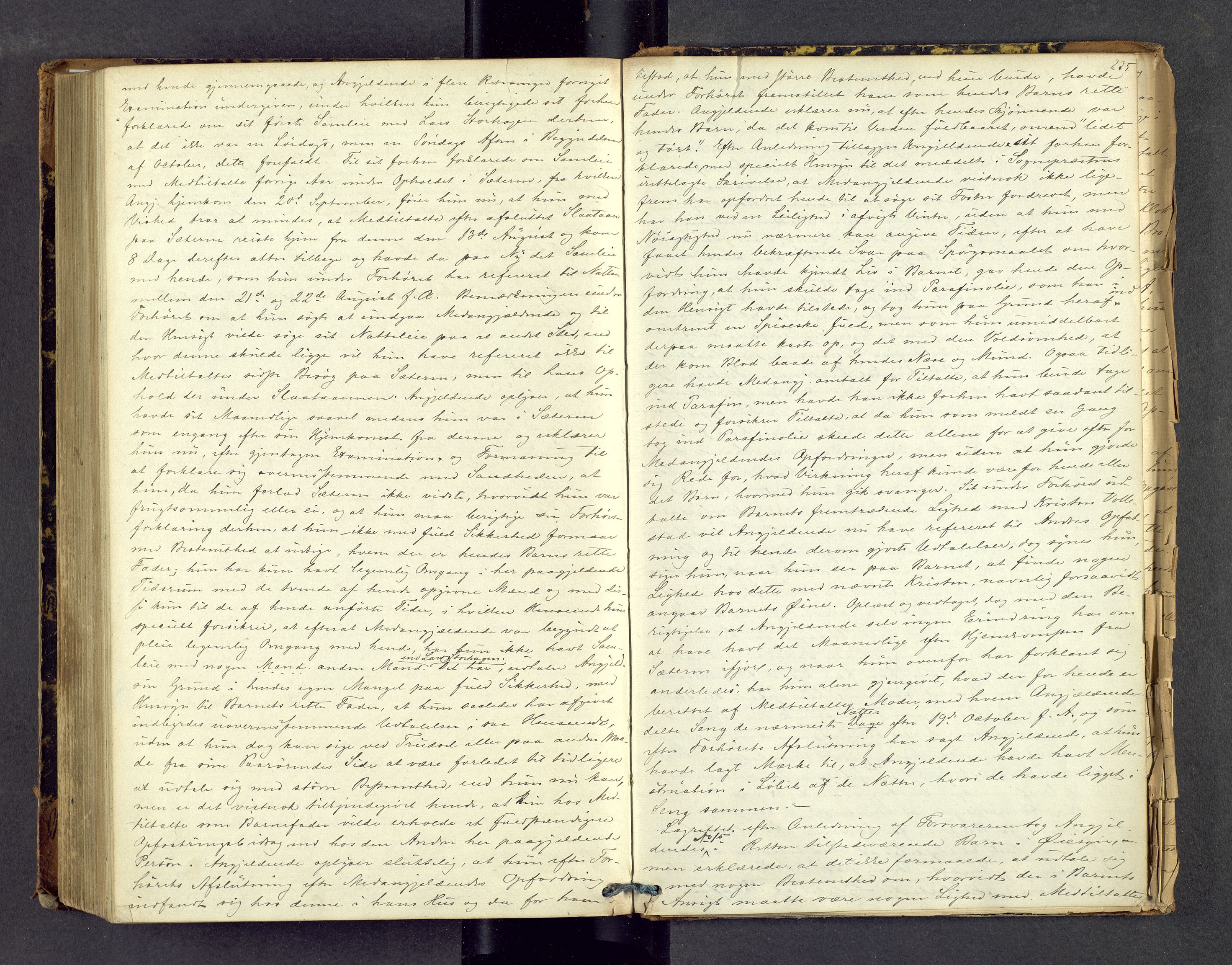 Sør-Hedmark sorenskriveri, AV/SAH-TING-014/G/Gc/Gca/L0012: Ekstrarettsprotokoll, 1876-1880, s. 234b-235a
