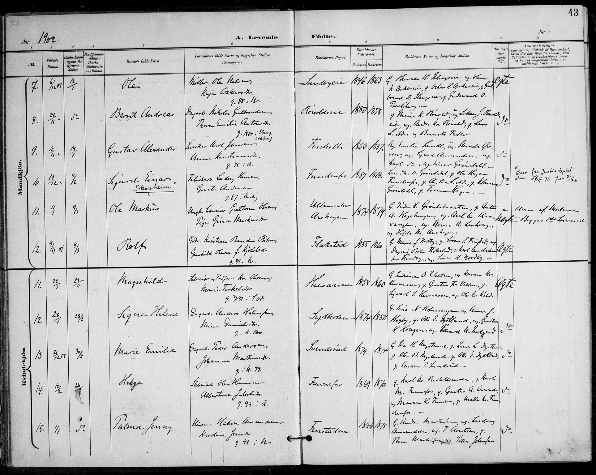 Nes prestekontor Kirkebøker, AV/SAO-A-10410/F/Fa/L0011: Ministerialbok nr. I 11, 1899-1918, s. 43