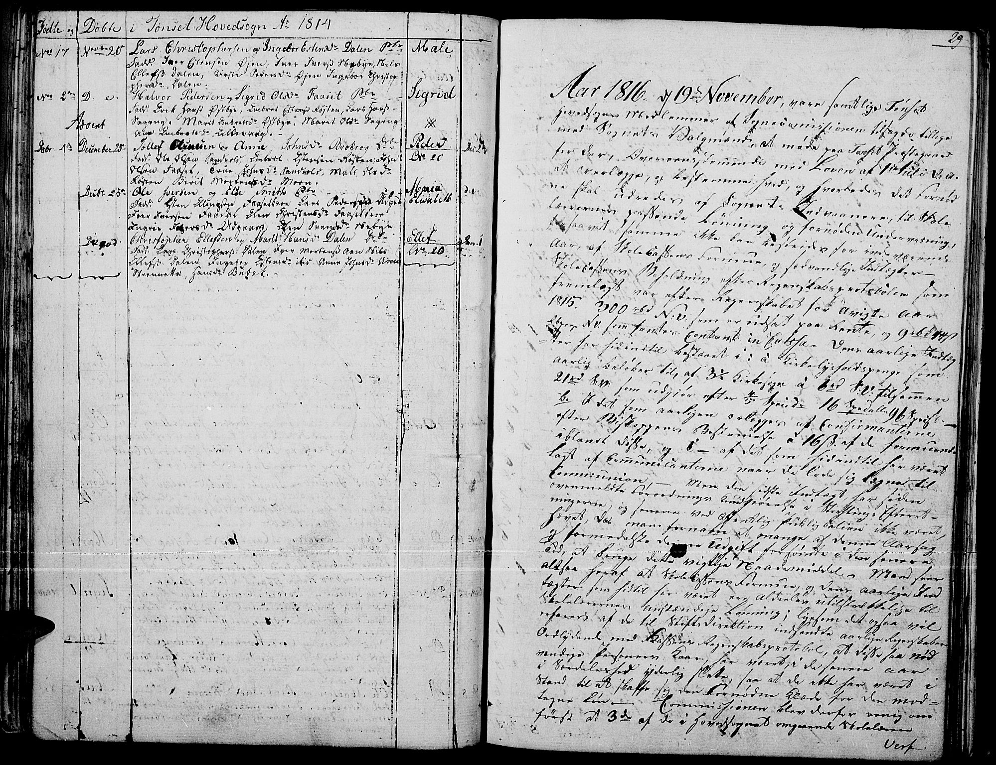 Tynset prestekontor, AV/SAH-PREST-058/H/Ha/Haa/L0015: Ministerialbok nr. 15, 1801-1814, s. 29