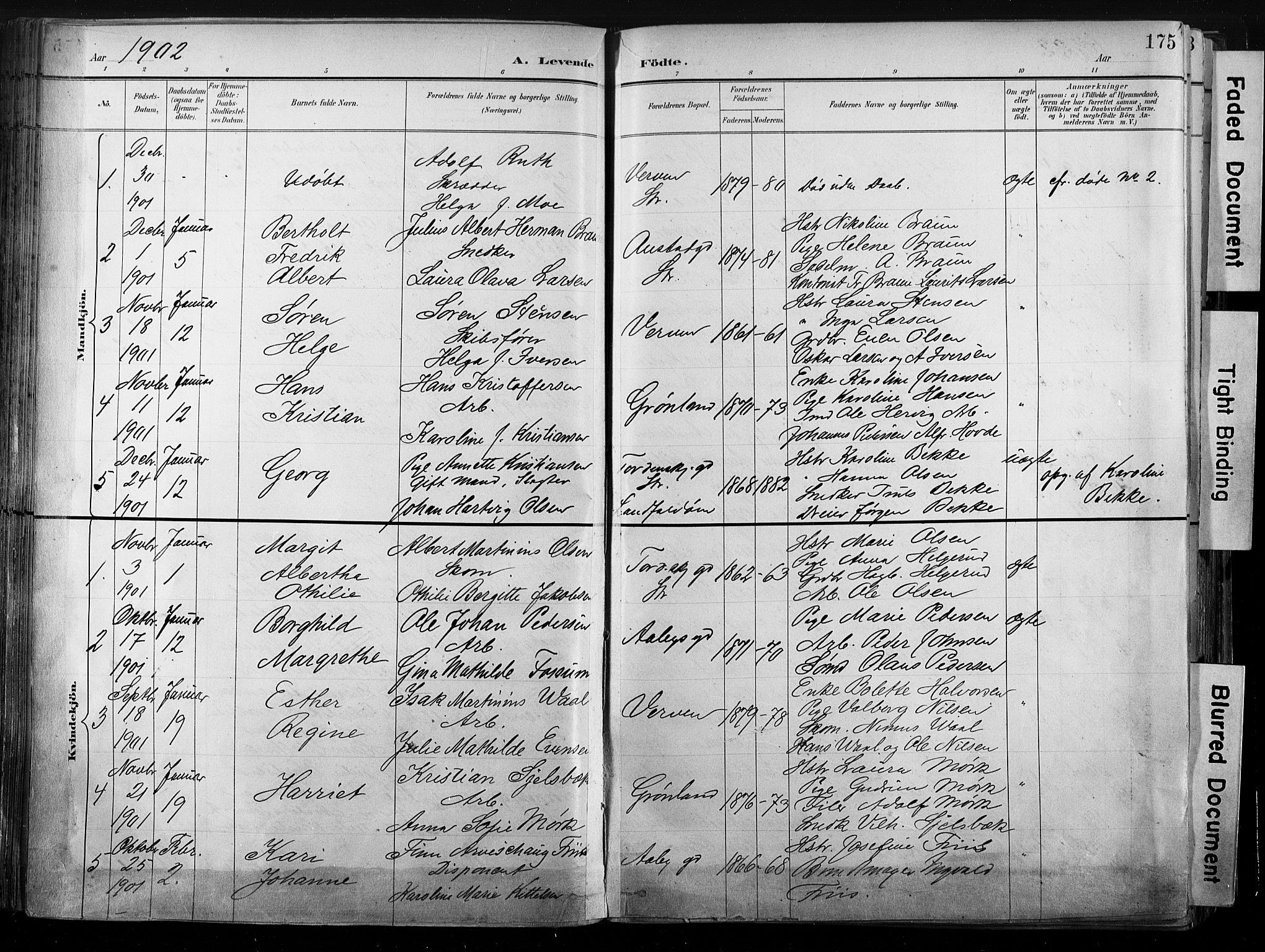 Strømsø kirkebøker, AV/SAKO-A-246/G/Ga/L0003: Klokkerbok nr. 3, 1894-1904, s. 175