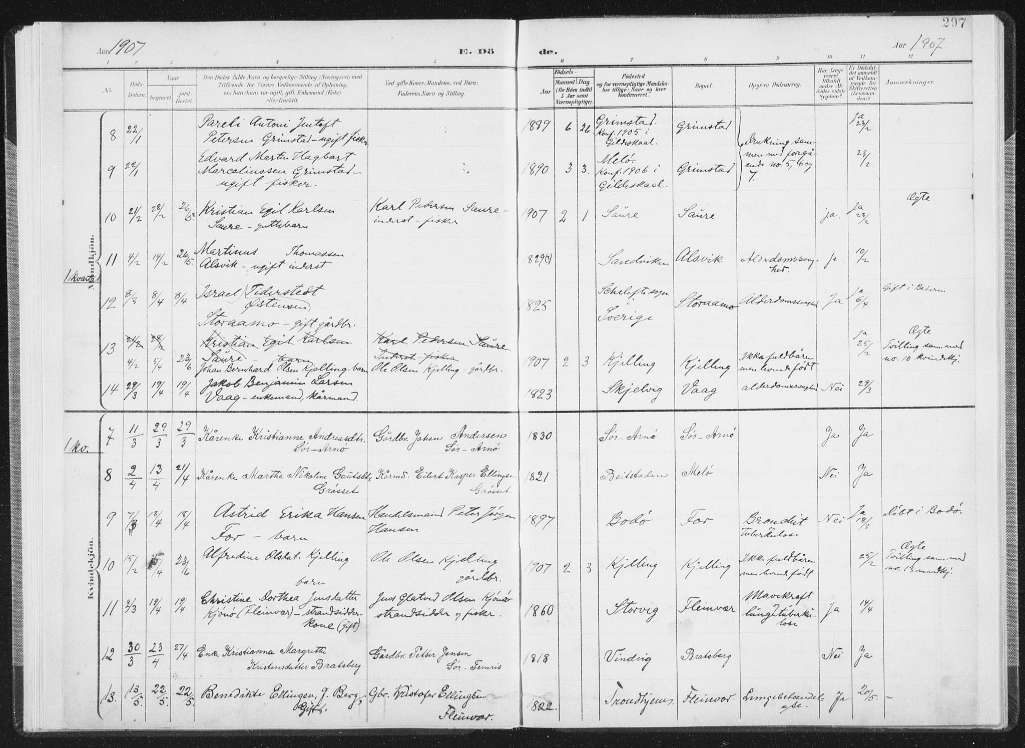 Ministerialprotokoller, klokkerbøker og fødselsregistre - Nordland, AV/SAT-A-1459/805/L0103: Ministerialbok nr. 805A08II, 1900-1909, s. 297