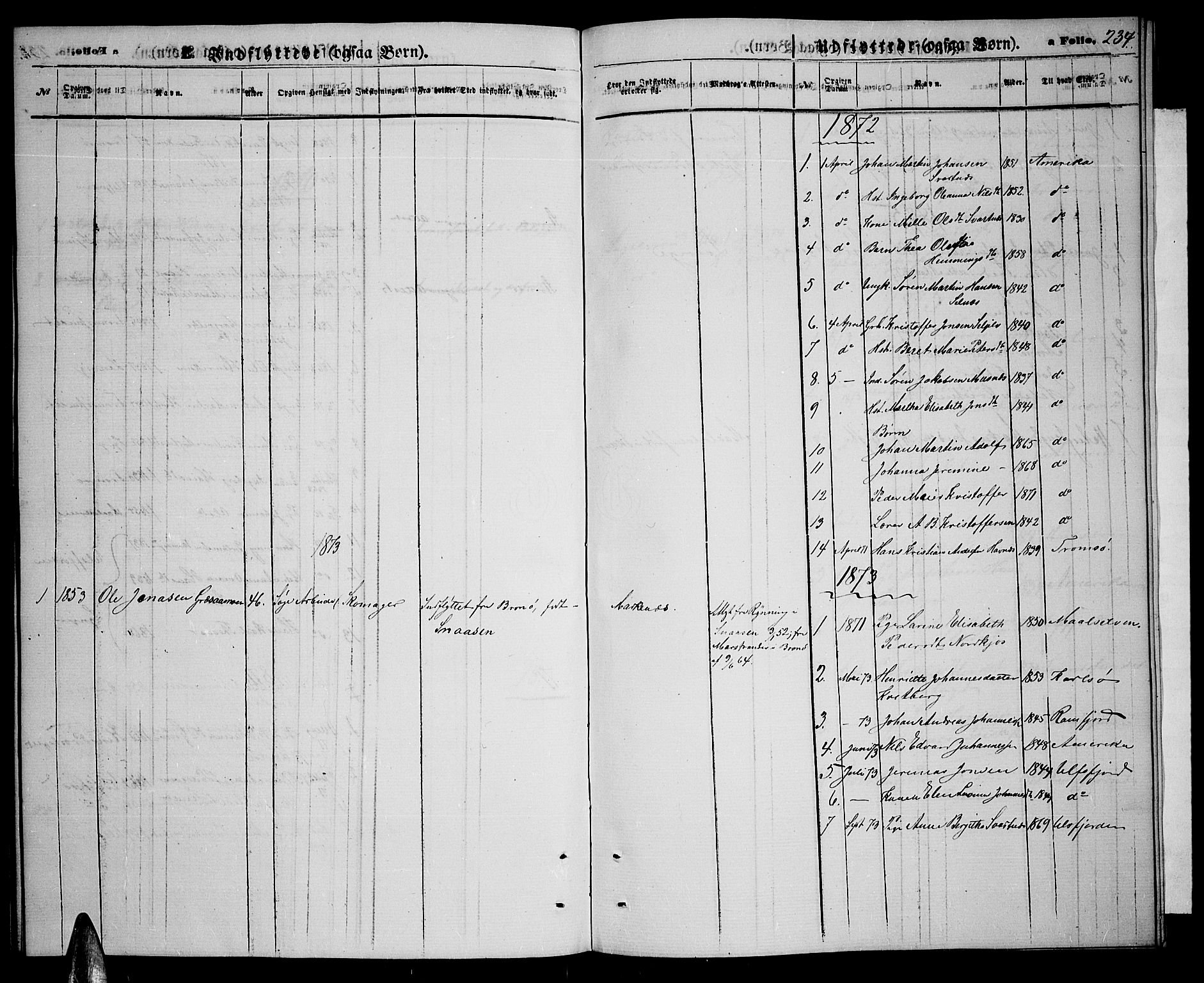 Balsfjord sokneprestembete, AV/SATØ-S-1303/G/Gab/L0006klokker: Klokkerbok nr. 6, 1863-1878, s. 234