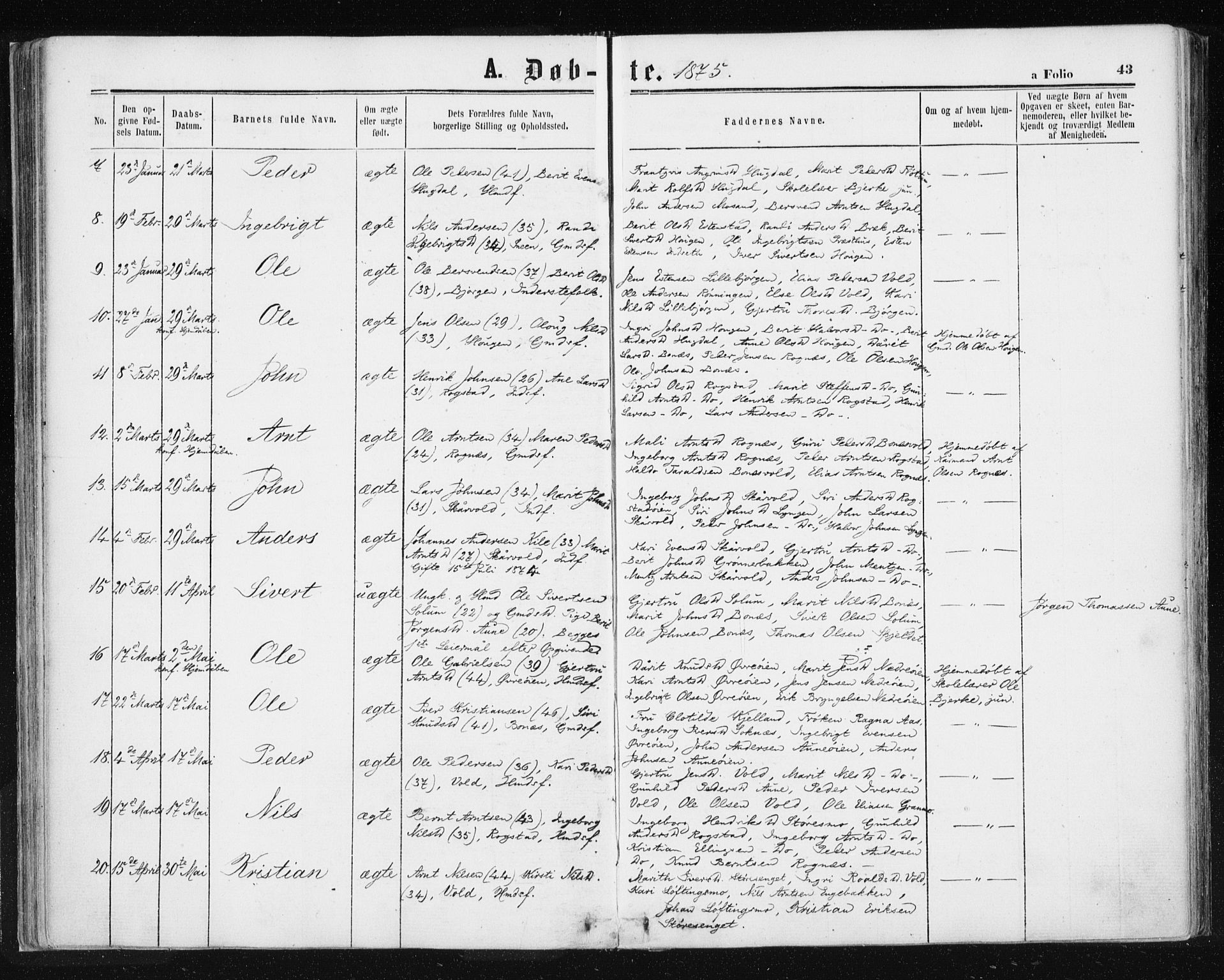 Ministerialprotokoller, klokkerbøker og fødselsregistre - Sør-Trøndelag, SAT/A-1456/687/L1001: Ministerialbok nr. 687A07, 1863-1878, s. 43