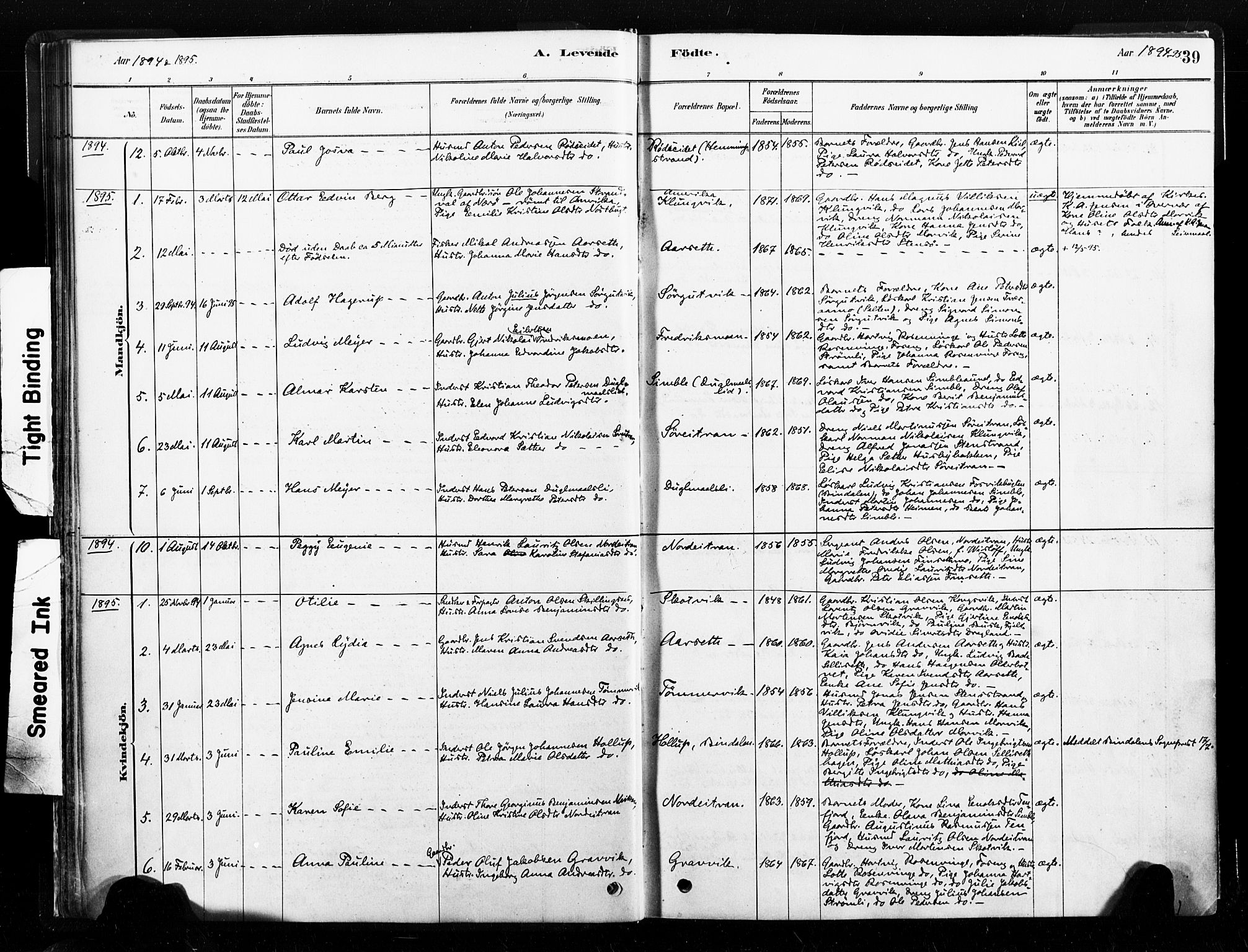 Ministerialprotokoller, klokkerbøker og fødselsregistre - Nord-Trøndelag, SAT/A-1458/789/L0705: Ministerialbok nr. 789A01, 1878-1910, s. 39
