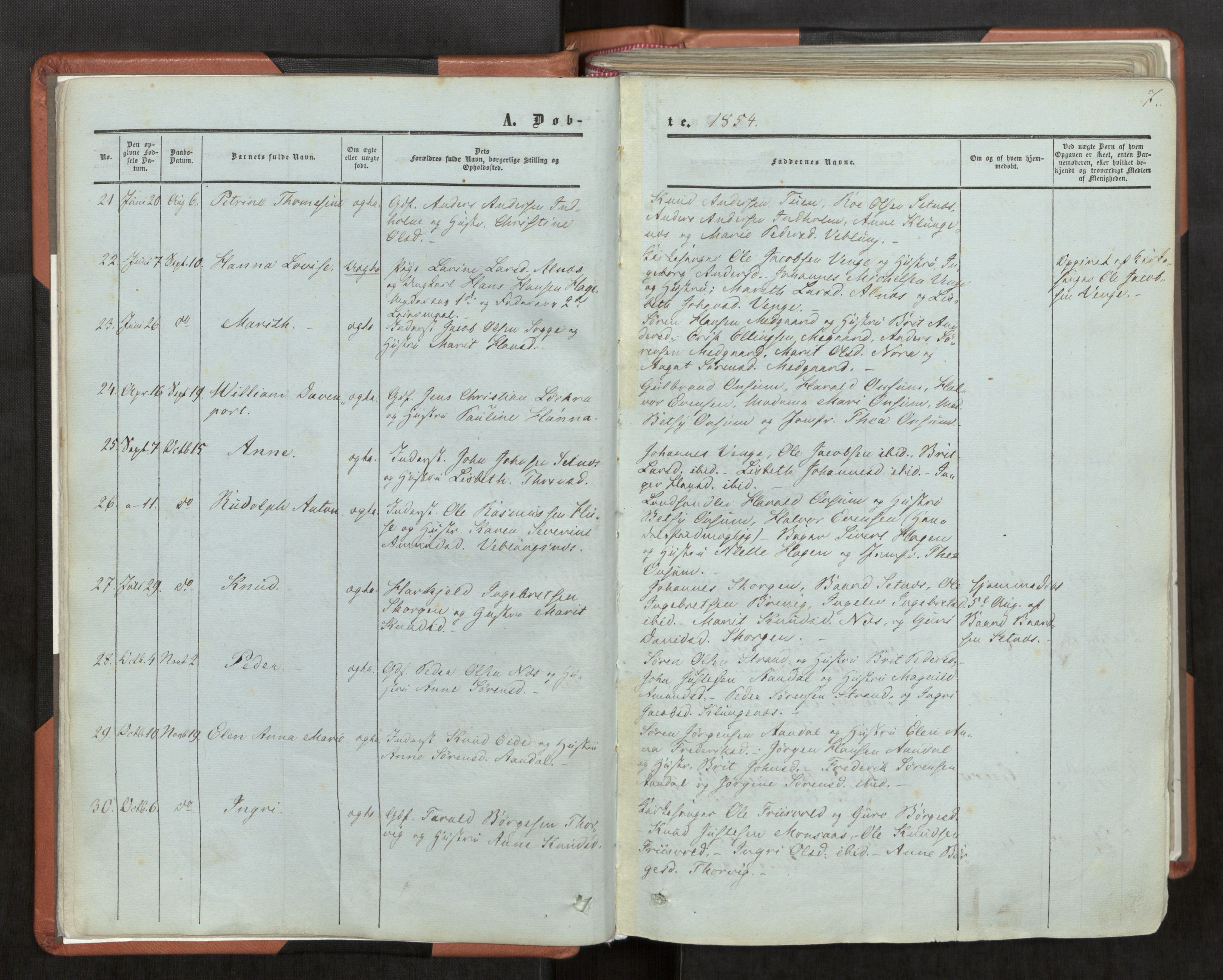 Ministerialprotokoller, klokkerbøker og fødselsregistre - Møre og Romsdal, AV/SAT-A-1454/544/L0572: Ministerialbok nr. 544A05, 1854-1886, s. 7