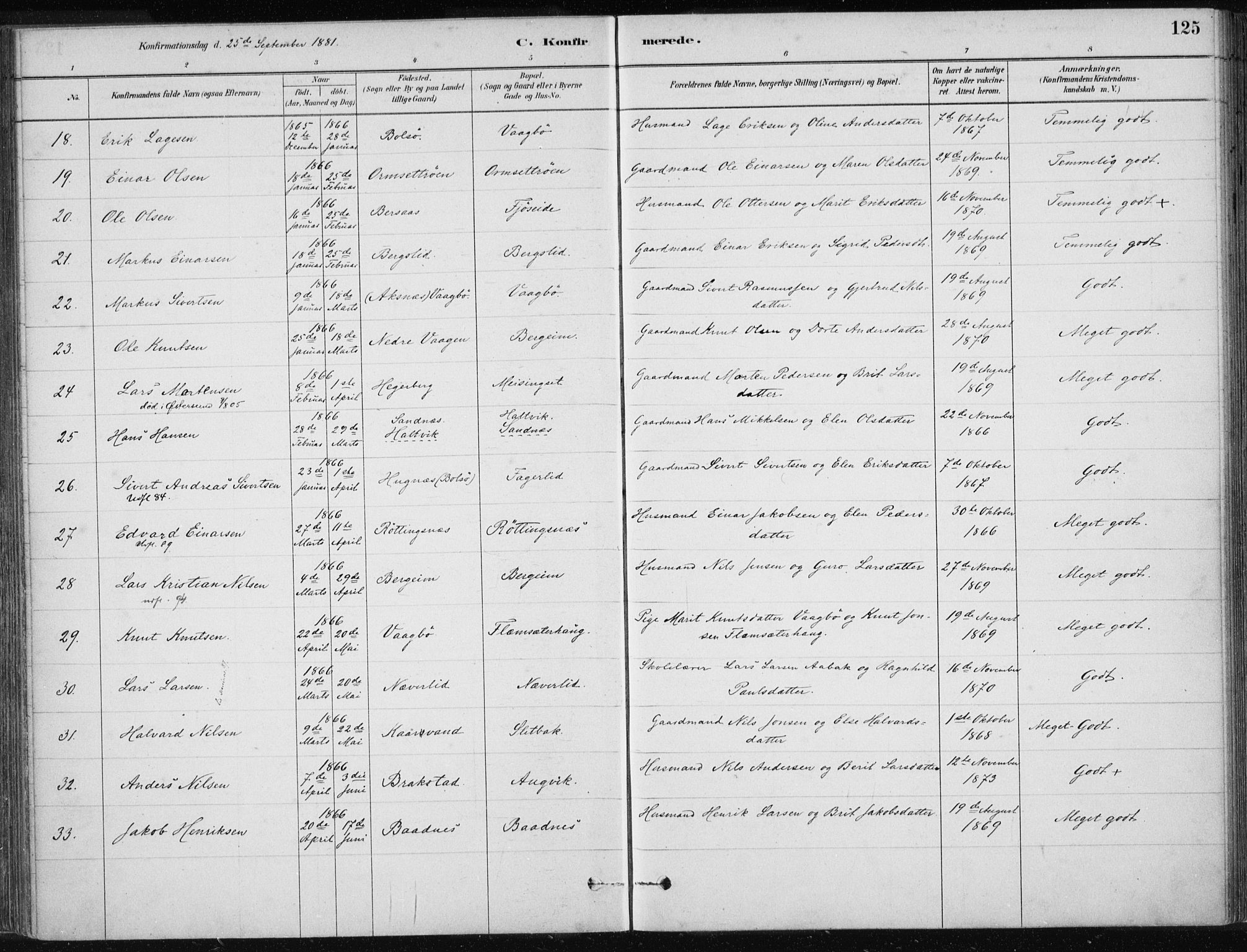 Ministerialprotokoller, klokkerbøker og fødselsregistre - Møre og Romsdal, SAT/A-1454/586/L0987: Ministerialbok nr. 586A13, 1879-1892, s. 125
