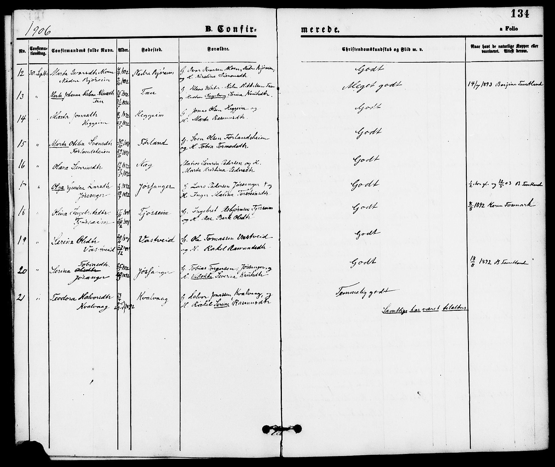 Strand sokneprestkontor, SAST/A-101828/H/Ha/Haa/L0008: Ministerialbok nr. A 8, 1874-1907, s. 134