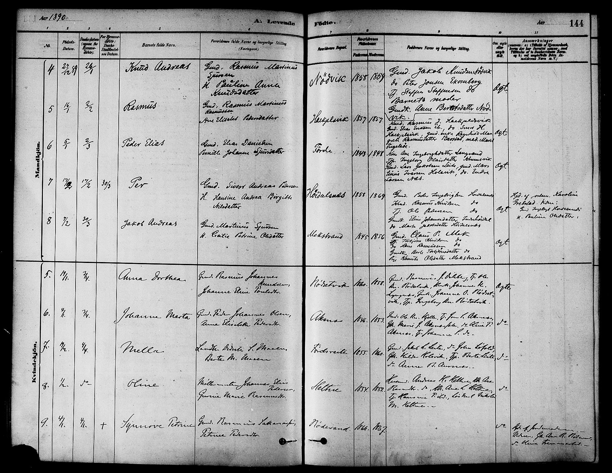 Ministerialprotokoller, klokkerbøker og fødselsregistre - Møre og Romsdal, AV/SAT-A-1454/511/L0141: Ministerialbok nr. 511A08, 1878-1890, s. 144