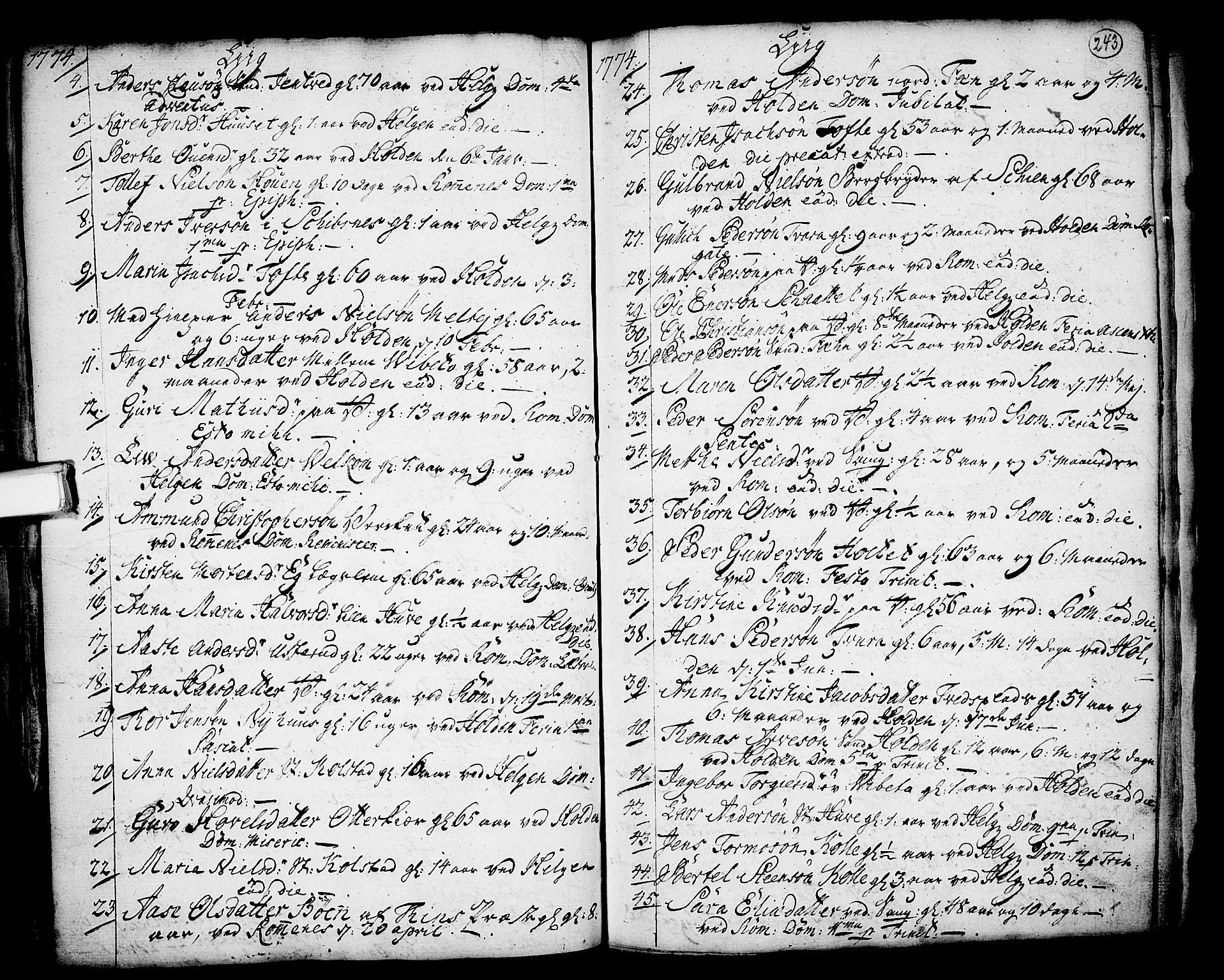 Holla kirkebøker, AV/SAKO-A-272/F/Fa/L0001: Ministerialbok nr. 1, 1717-1779, s. 243