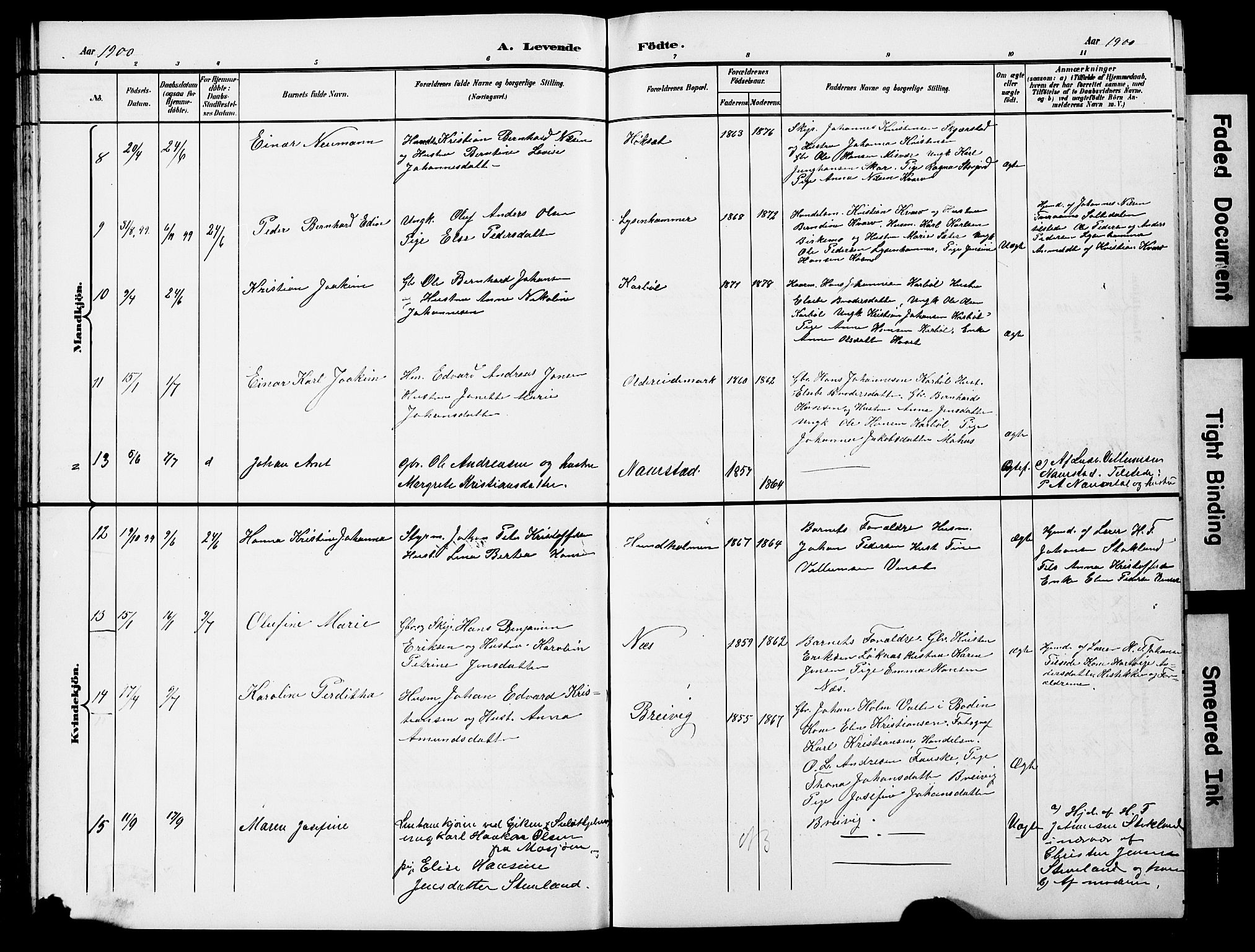 Ministerialprotokoller, klokkerbøker og fødselsregistre - Nordland, SAT/A-1459/852/L0755: Klokkerbok nr. 852C06, 1895-1902