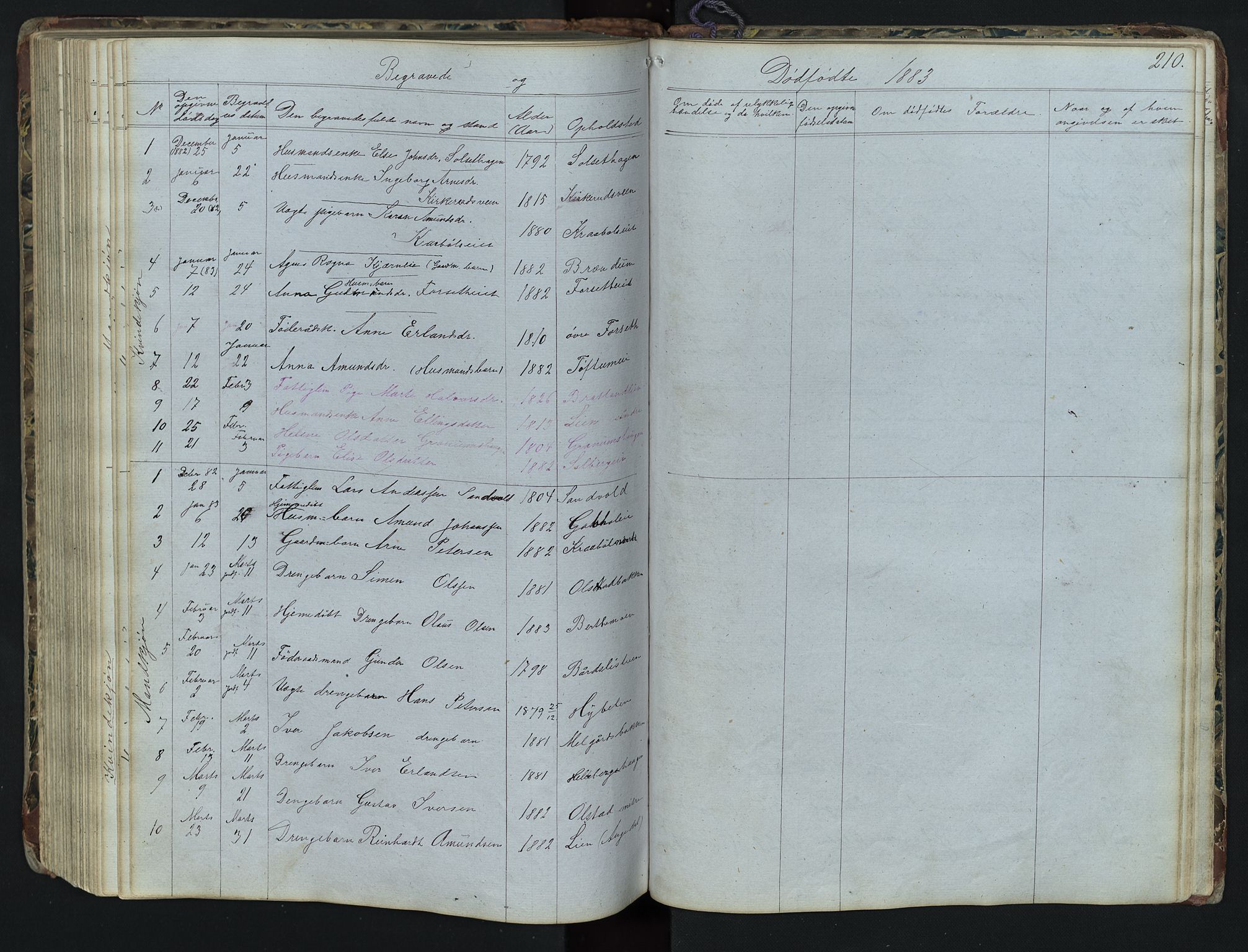 Vestre Gausdal prestekontor, AV/SAH-PREST-094/H/Ha/Hab/L0001: Klokkerbok nr. 1, 1867-1895, s. 210