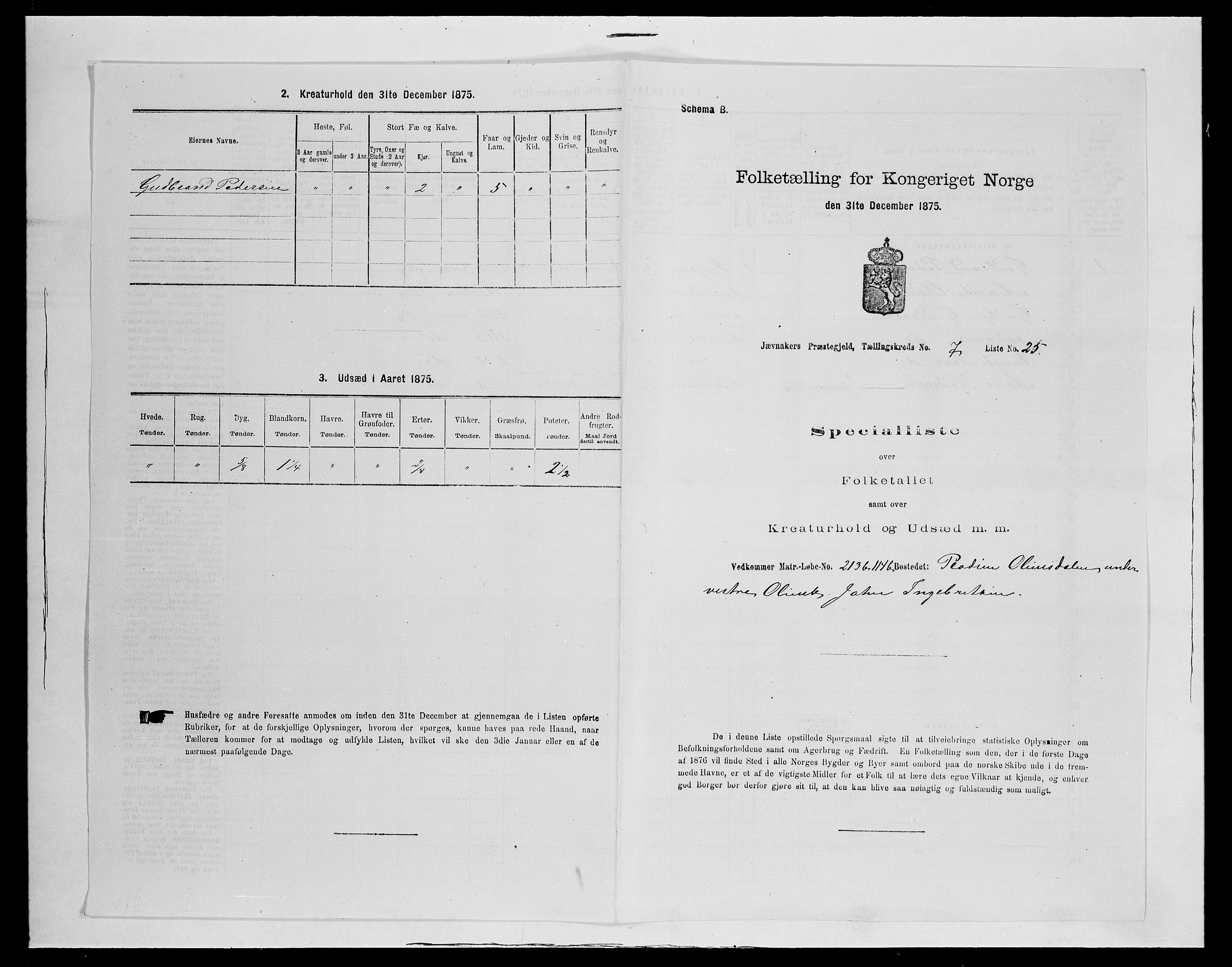 SAH, Folketelling 1875 for 0532P Jevnaker prestegjeld, 1875, s. 1205