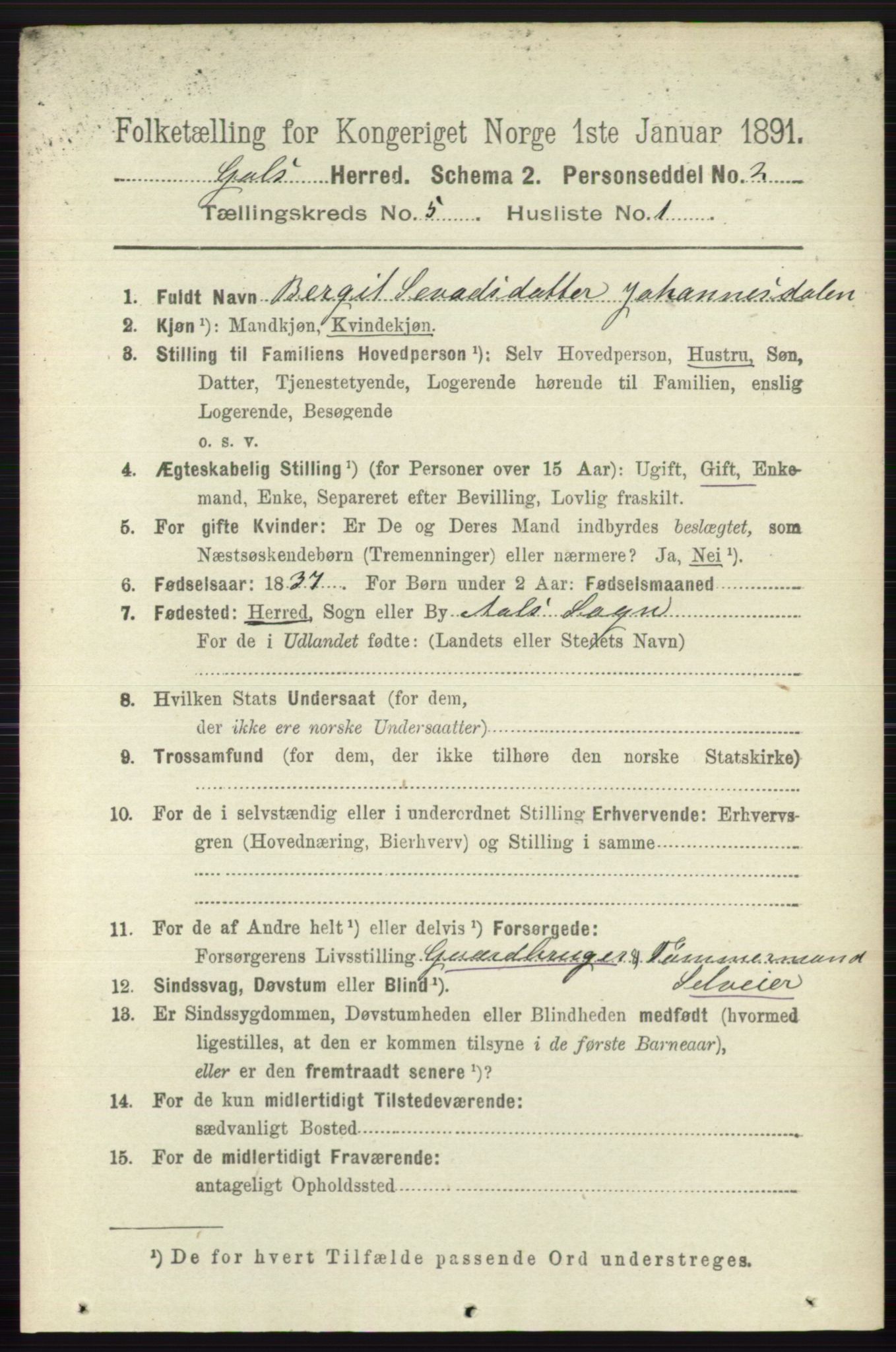 RA, Folketelling 1891 for 0617 Gol og Hemsedal herred, 1891, s. 2306
