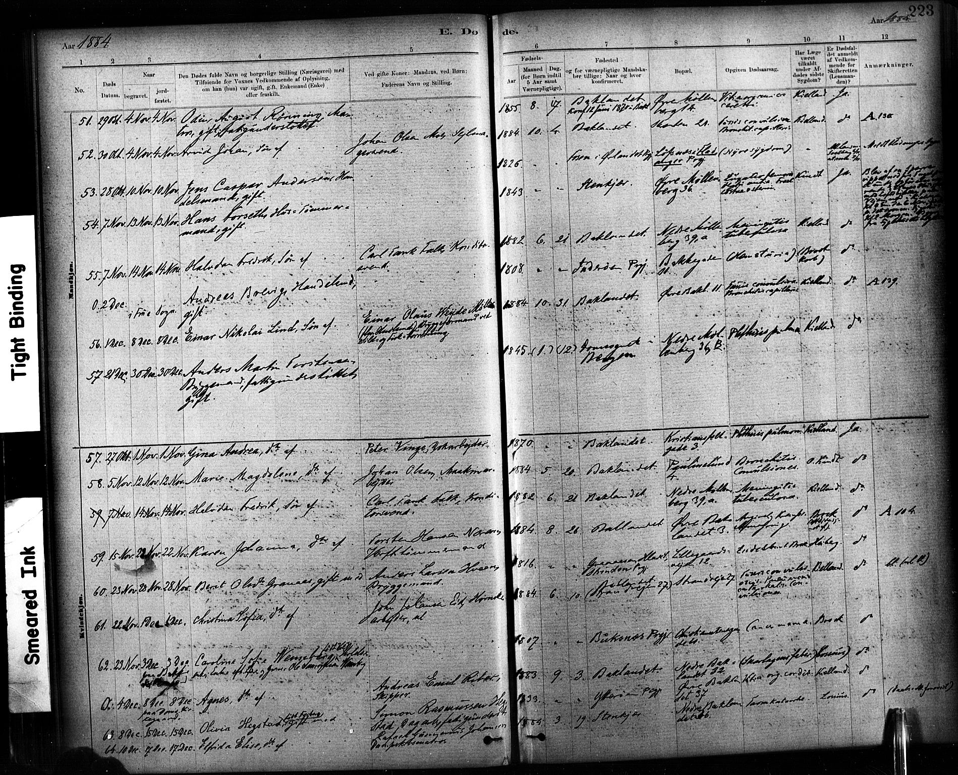 Ministerialprotokoller, klokkerbøker og fødselsregistre - Sør-Trøndelag, SAT/A-1456/604/L0189: Ministerialbok nr. 604A10, 1878-1892, s. 223