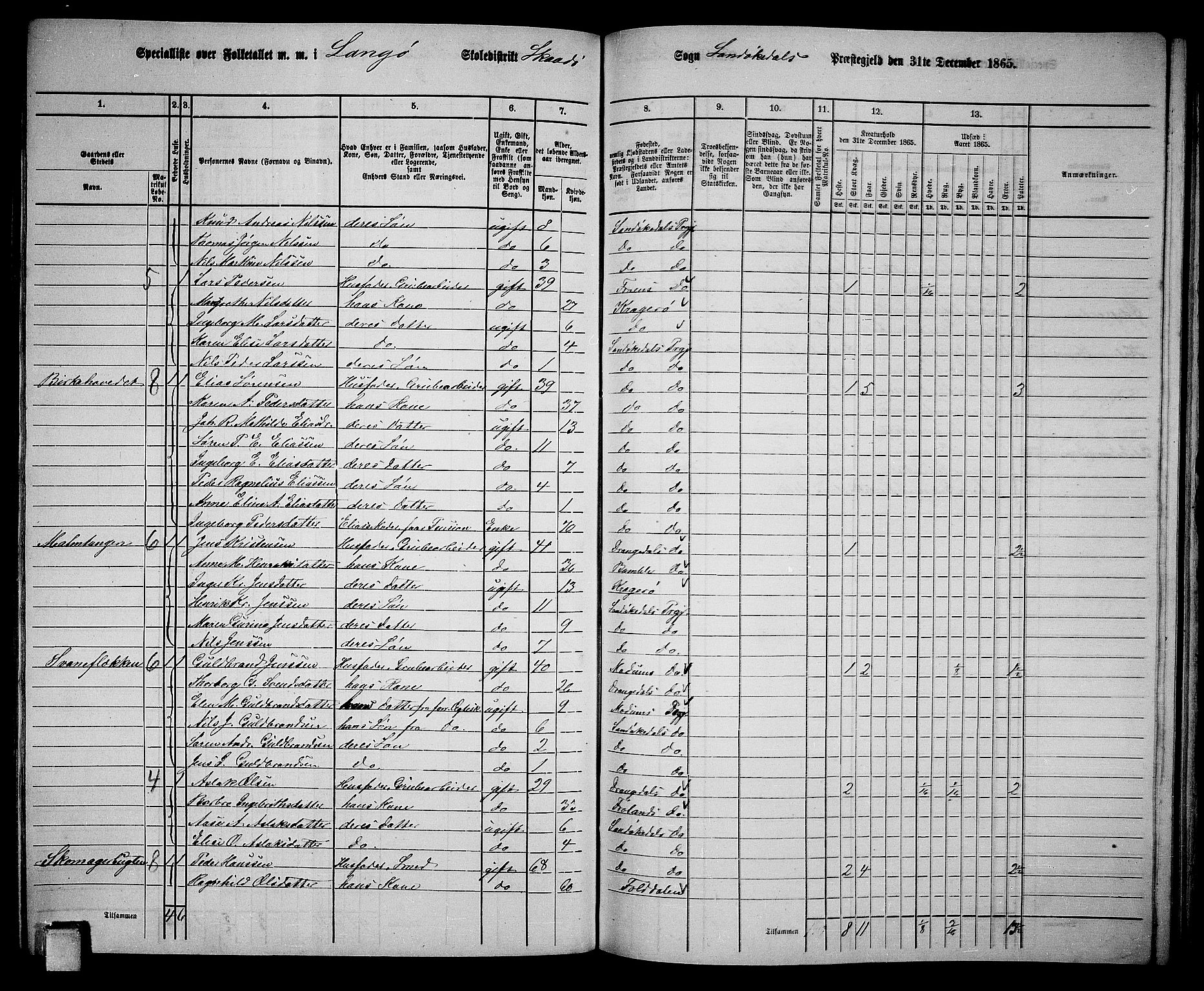 RA, Folketelling 1865 for 0816L Kragerø prestegjeld, Sannidal sokn og Skåtøy sokn, 1865, s. 173