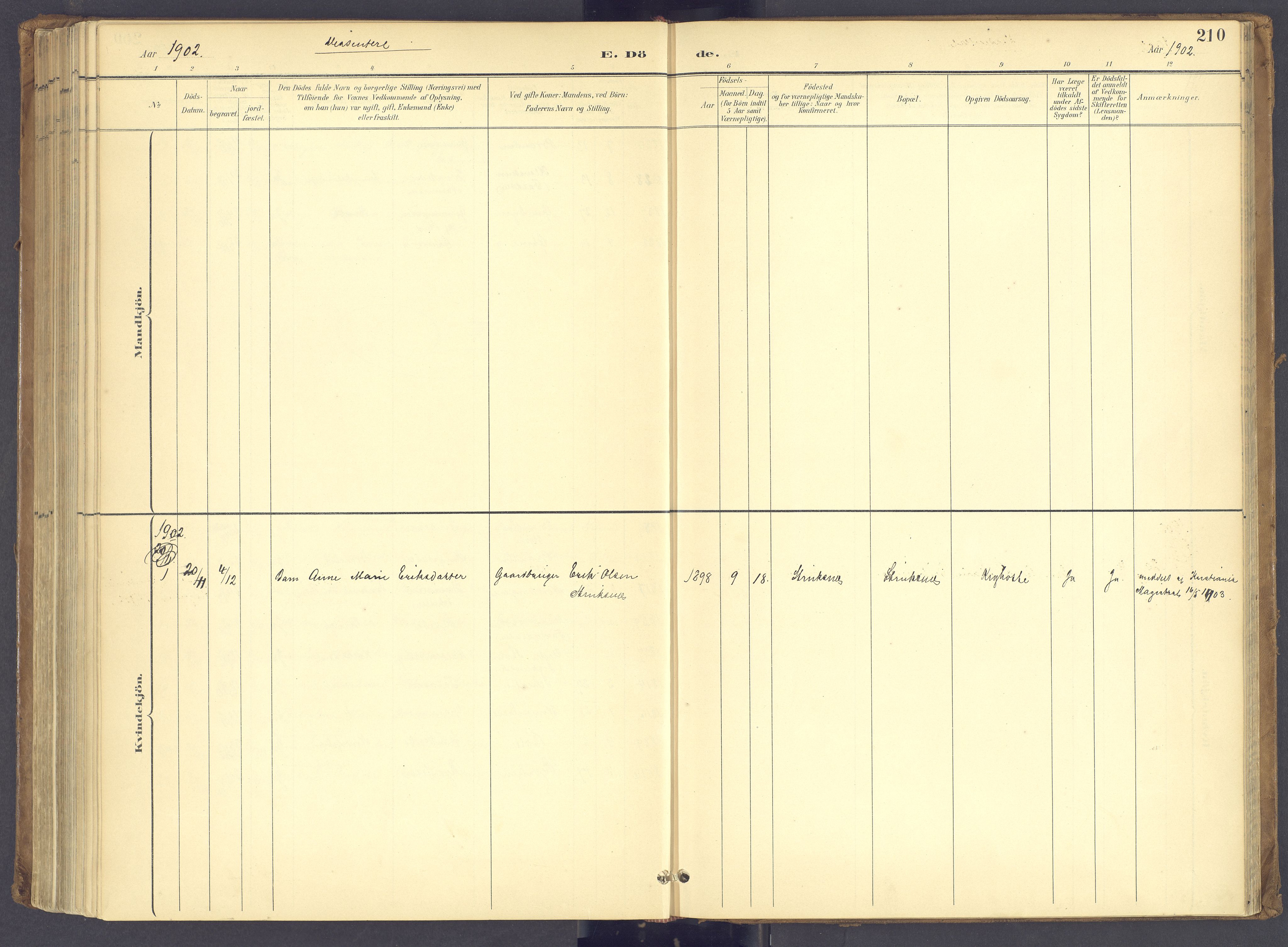 Søndre Land prestekontor, AV/SAH-PREST-122/K/L0006: Ministerialbok nr. 6, 1895-1904, s. 210