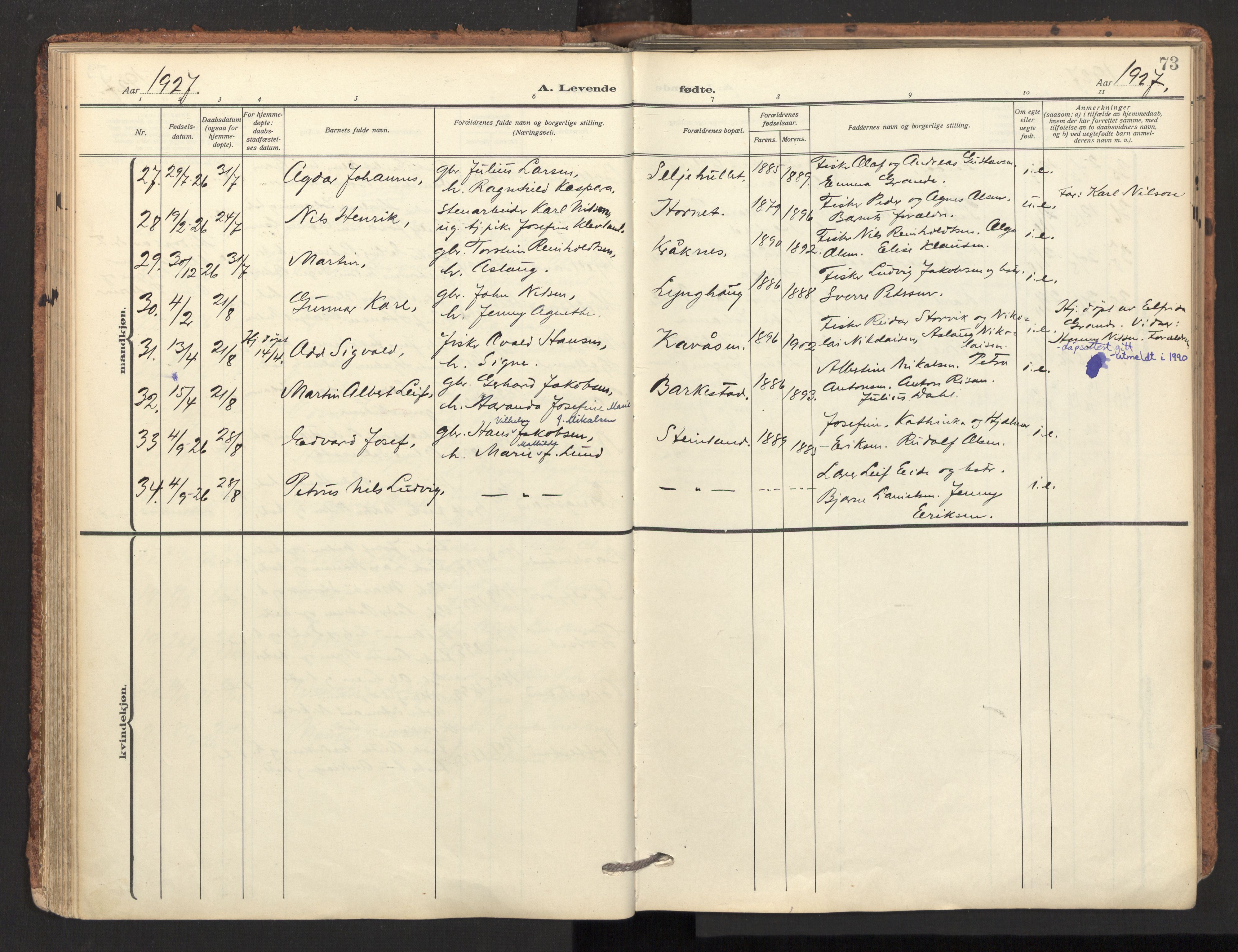 Ministerialprotokoller, klokkerbøker og fødselsregistre - Nordland, AV/SAT-A-1459/893/L1343: Ministerialbok nr. 893A15, 1914-1928, s. 73
