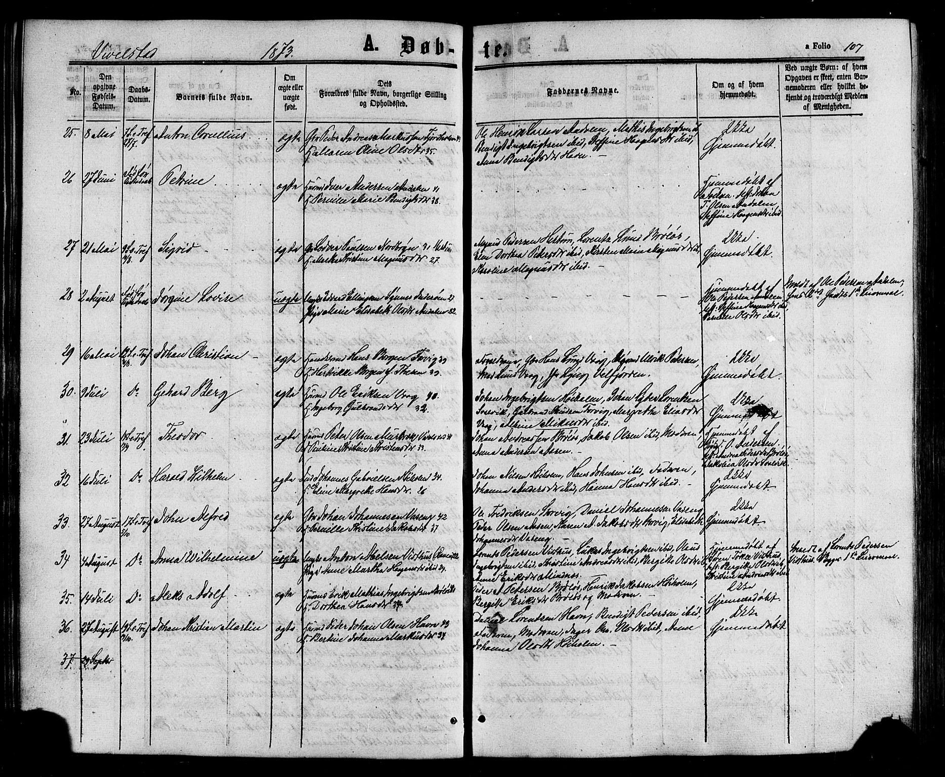 Ministerialprotokoller, klokkerbøker og fødselsregistre - Nordland, AV/SAT-A-1459/817/L0262: Ministerialbok nr. 817A03 /2, 1867-1877, s. 107