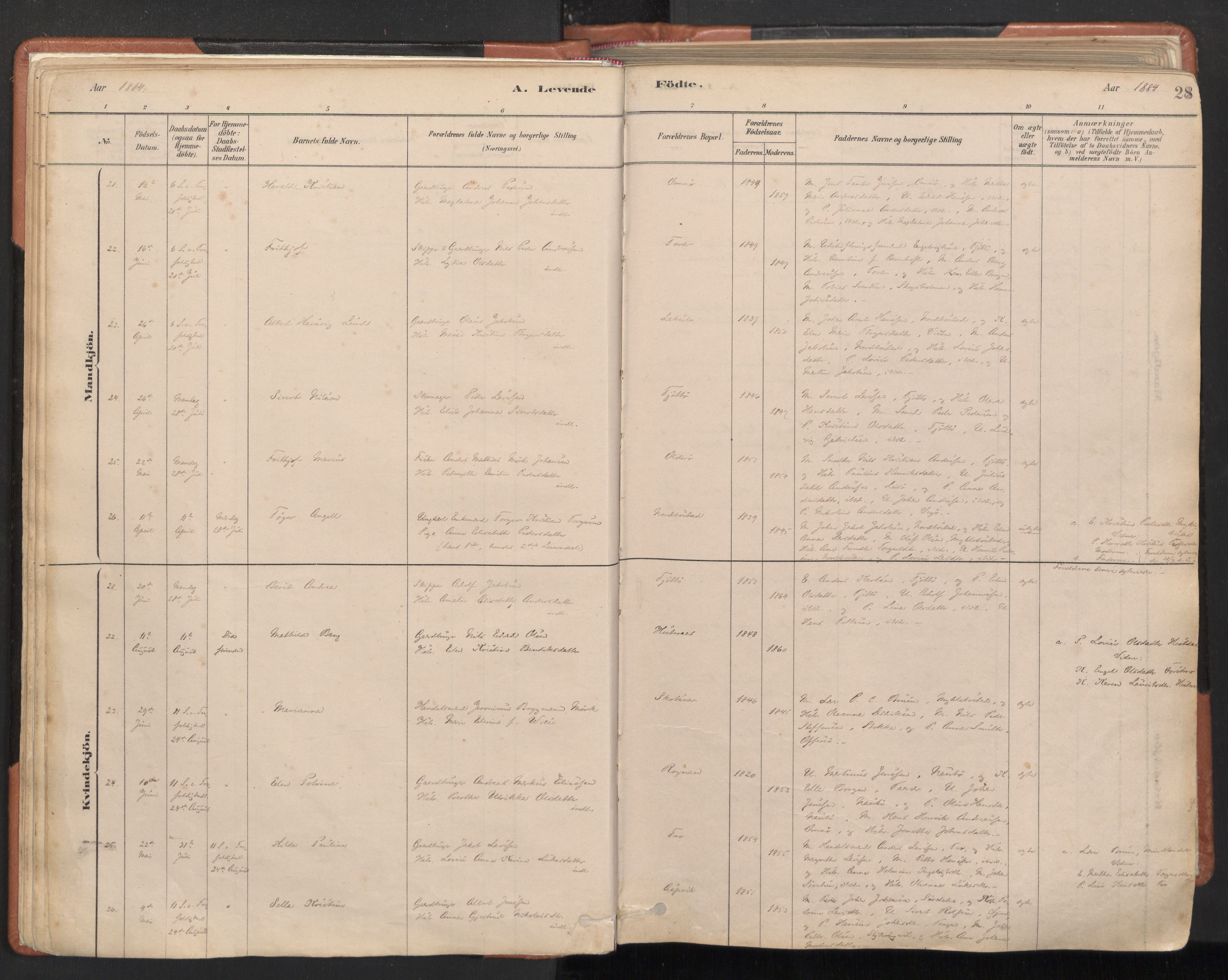 Ministerialprotokoller, klokkerbøker og fødselsregistre - Nordland, AV/SAT-A-1459/817/L0264: Ministerialbok nr. 817A04, 1878-1907, s. 28