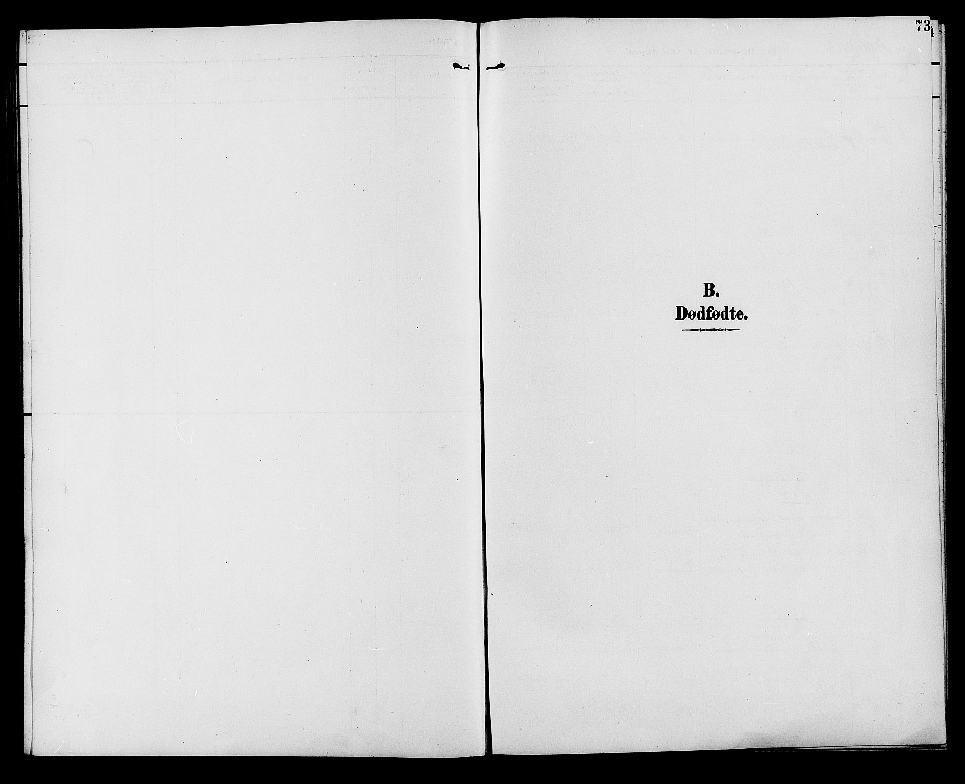 Ringebu prestekontor, SAH/PREST-082/H/Ha/Hab/L0007: Klokkerbok nr. 7, 1890-1910, s. 73